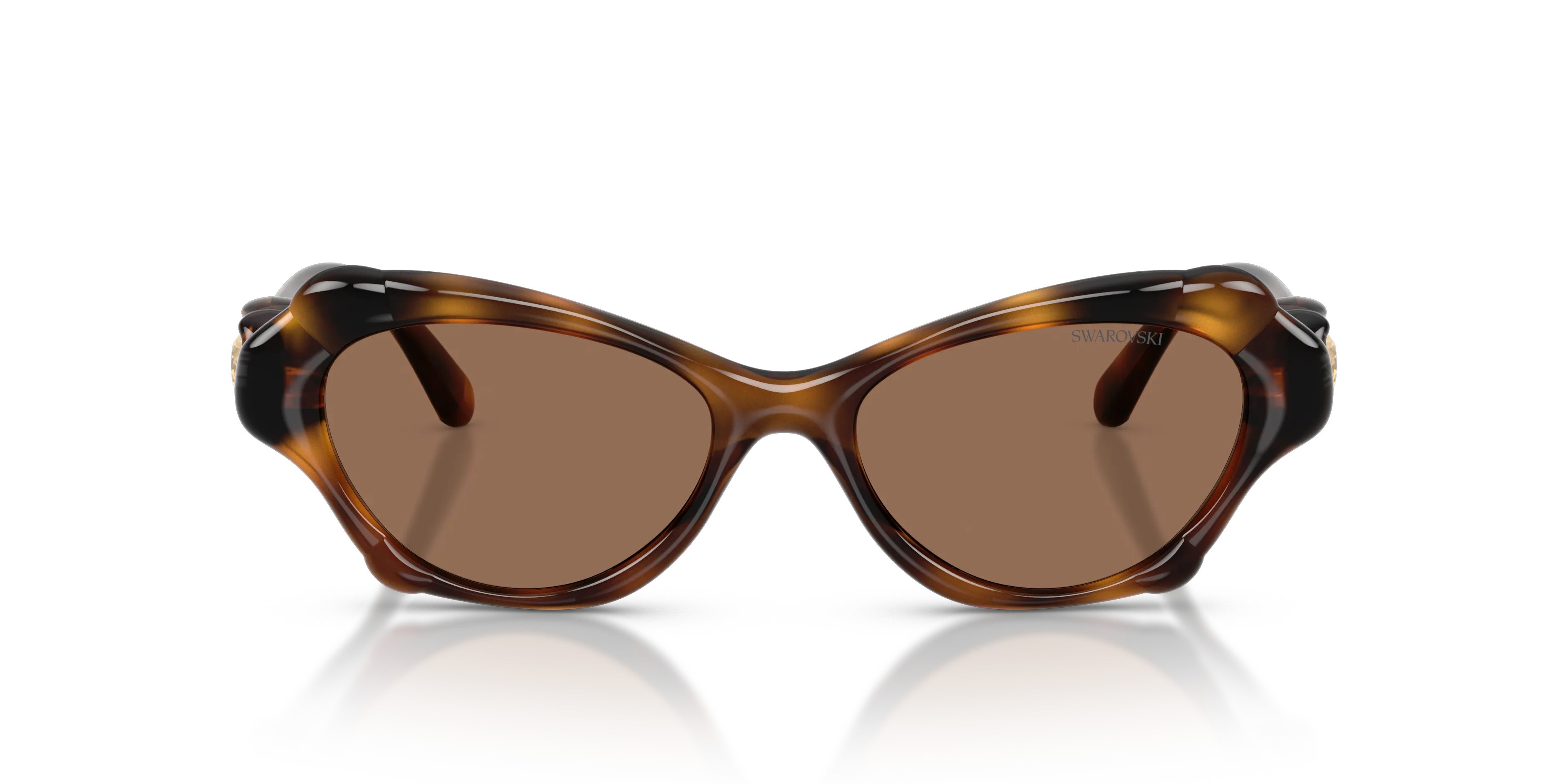 Swarovski SK6050 100273 Occhiali da sole Iniettato Tartaruga Marrone Cat Eye Normale - immagine 3