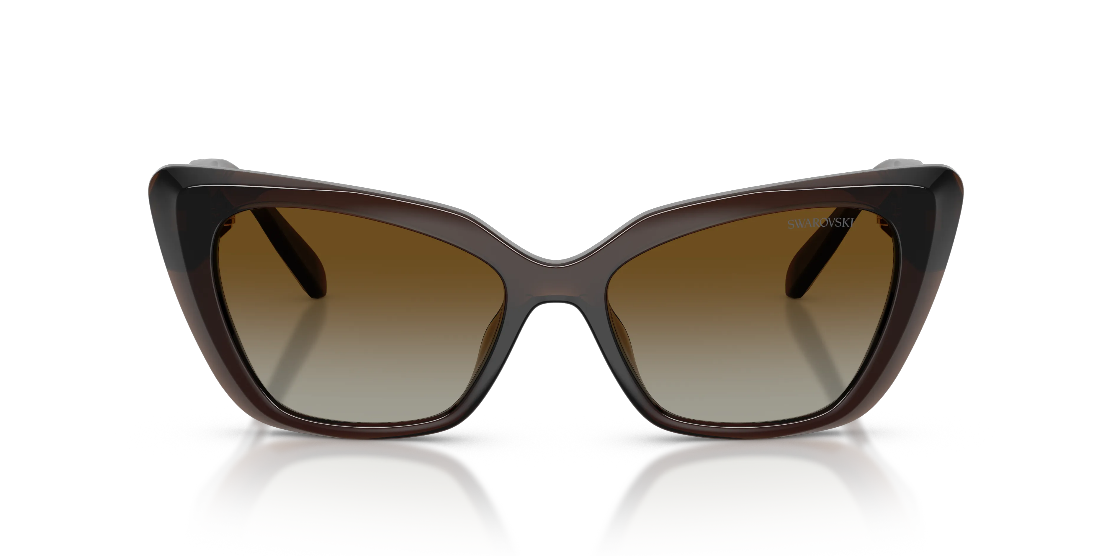 Swarovski SK6047 1084T5 Occhiali da sole Iniettato Marrone Marrone Cat Eye Polarizzata Sfumato - immagine 3