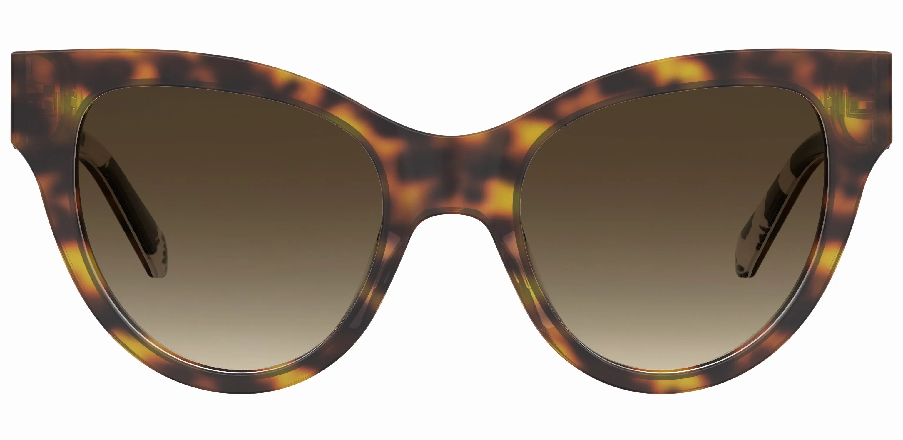 Moschino MOL053/S 1NR/HA Occhiali da sole Acetato Havana Marrone Pantos Normale Sfumato - immagine 4