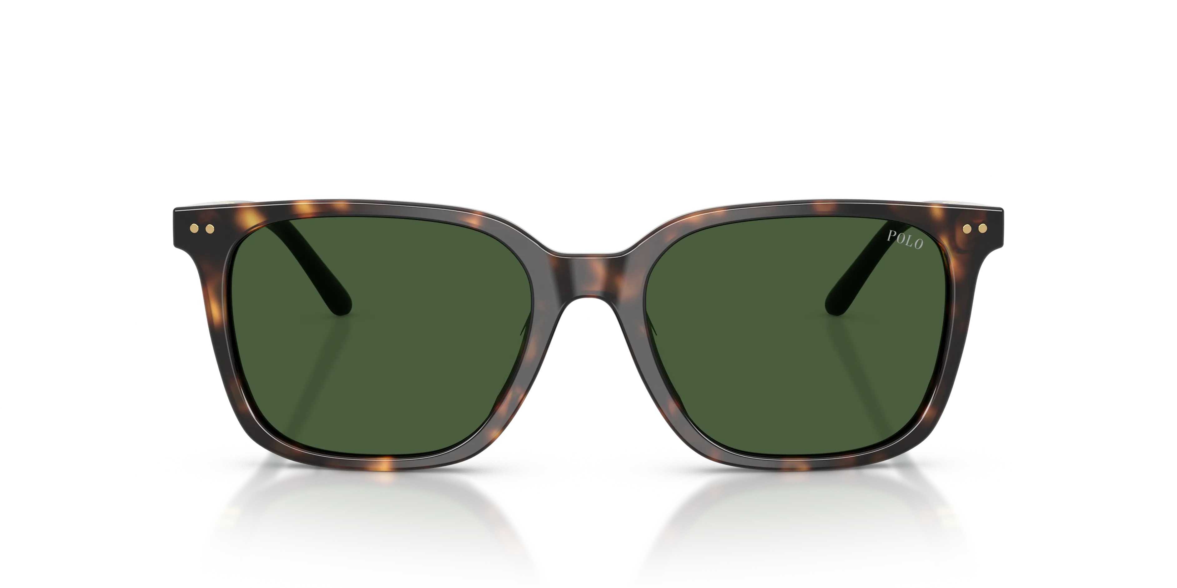 Polo Ralph Lauren PH4235U 500371 Occhiali da sole Acetato Tartaruga Verde Squadrata Normale - immagine 3