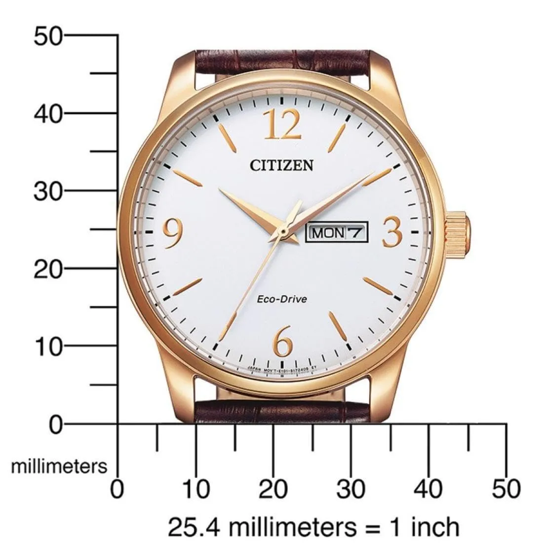 CITIZEN Orologio analogico da uomo Eco-Drive, bianco, misura unica, cinghia - immagine 3