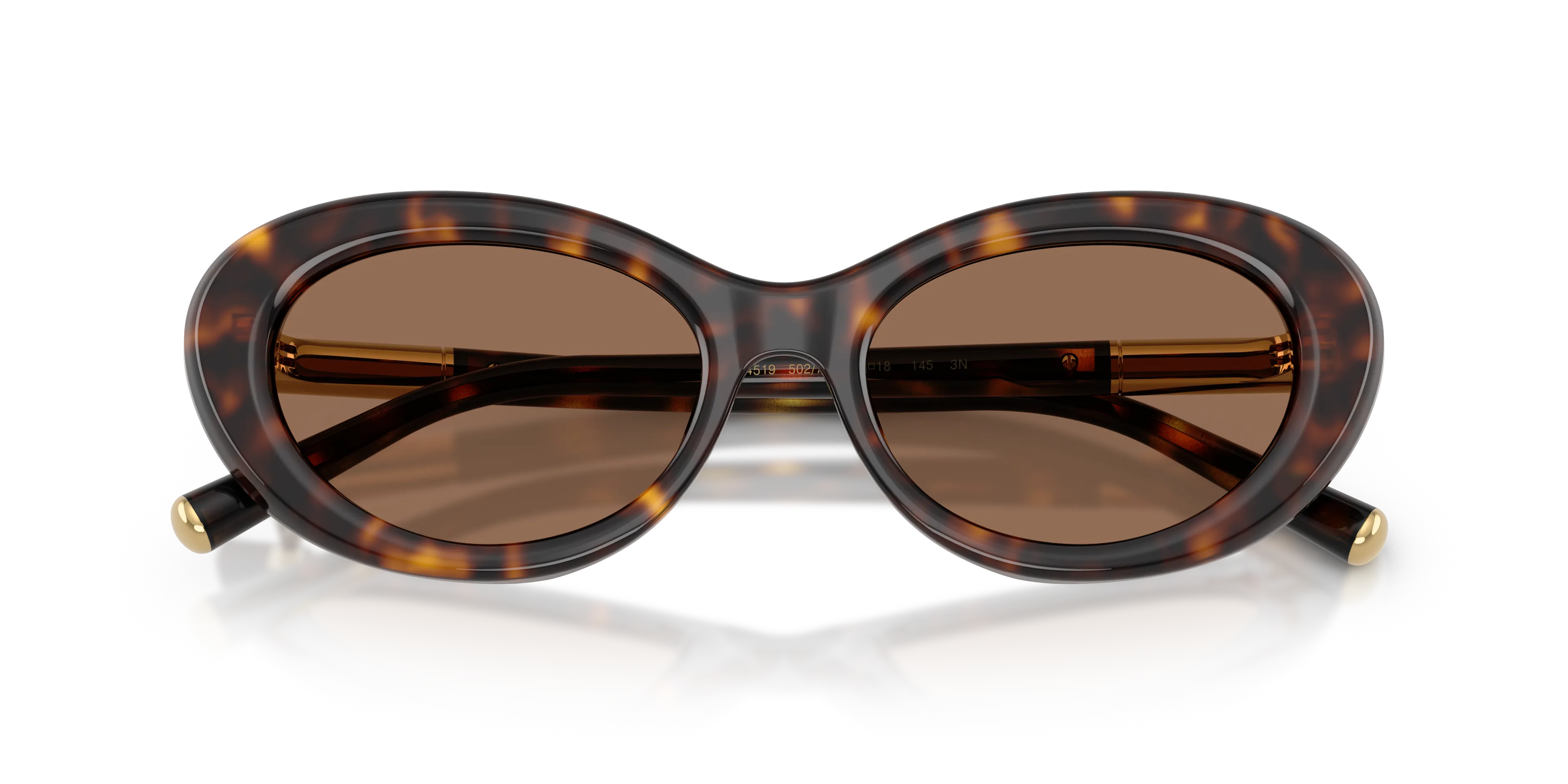 Dolce & Gabbana DG4519 502/73 Occhiali da sole Acetato Tartaruga Marrone Rotonda Normale - immagine 2