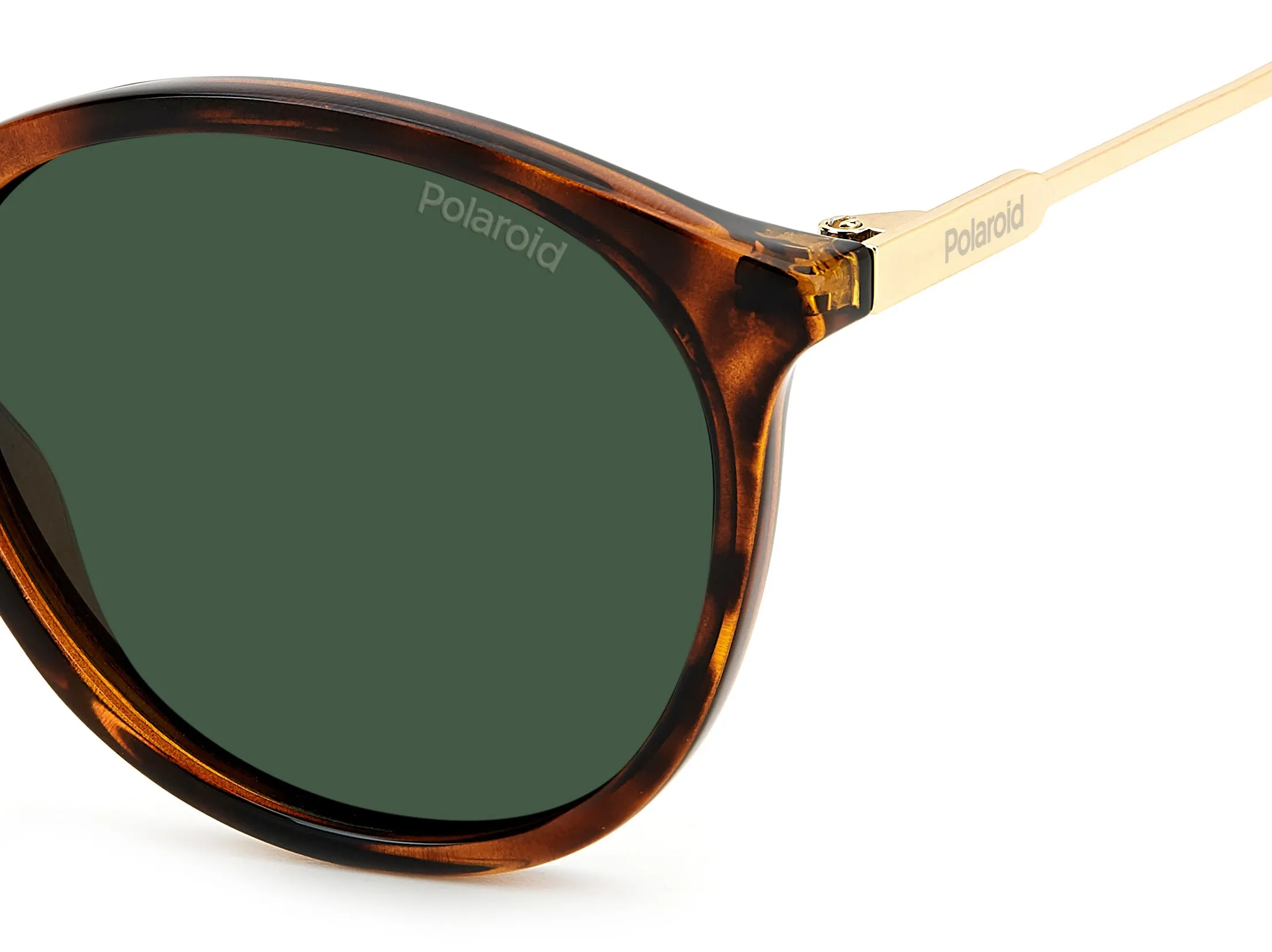 Polaroid PLD 4129/S/X 086/UC Occhiali da sole Eco co-polyester Havana Verde Rotonda Polarizzata - immagine 4
