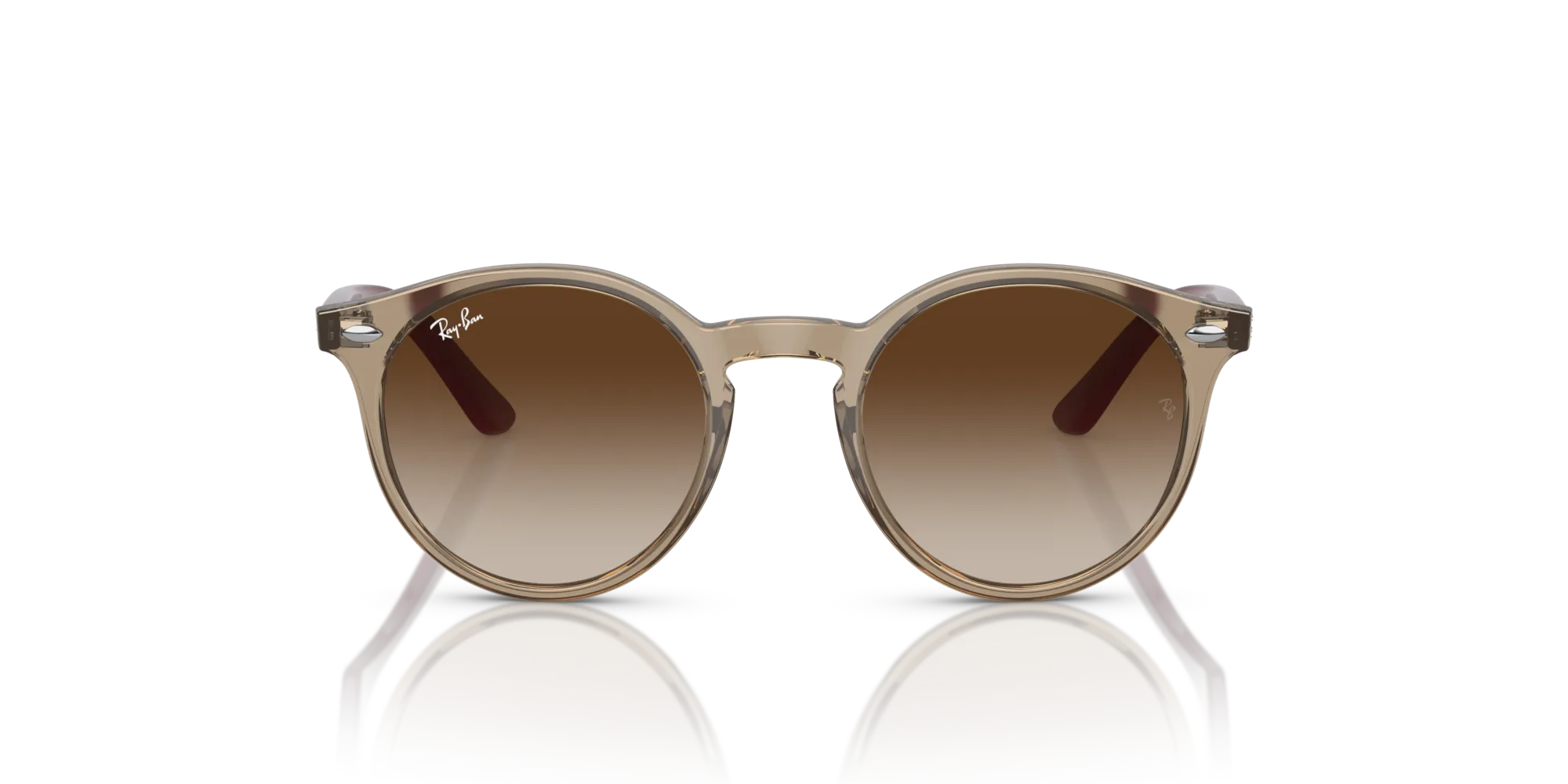 Ray - Ban RJ9064S 712313 Occhiali da sole bambino Iniettato Marrone Marrone Pantos Normale Sfumato - immagine 3
