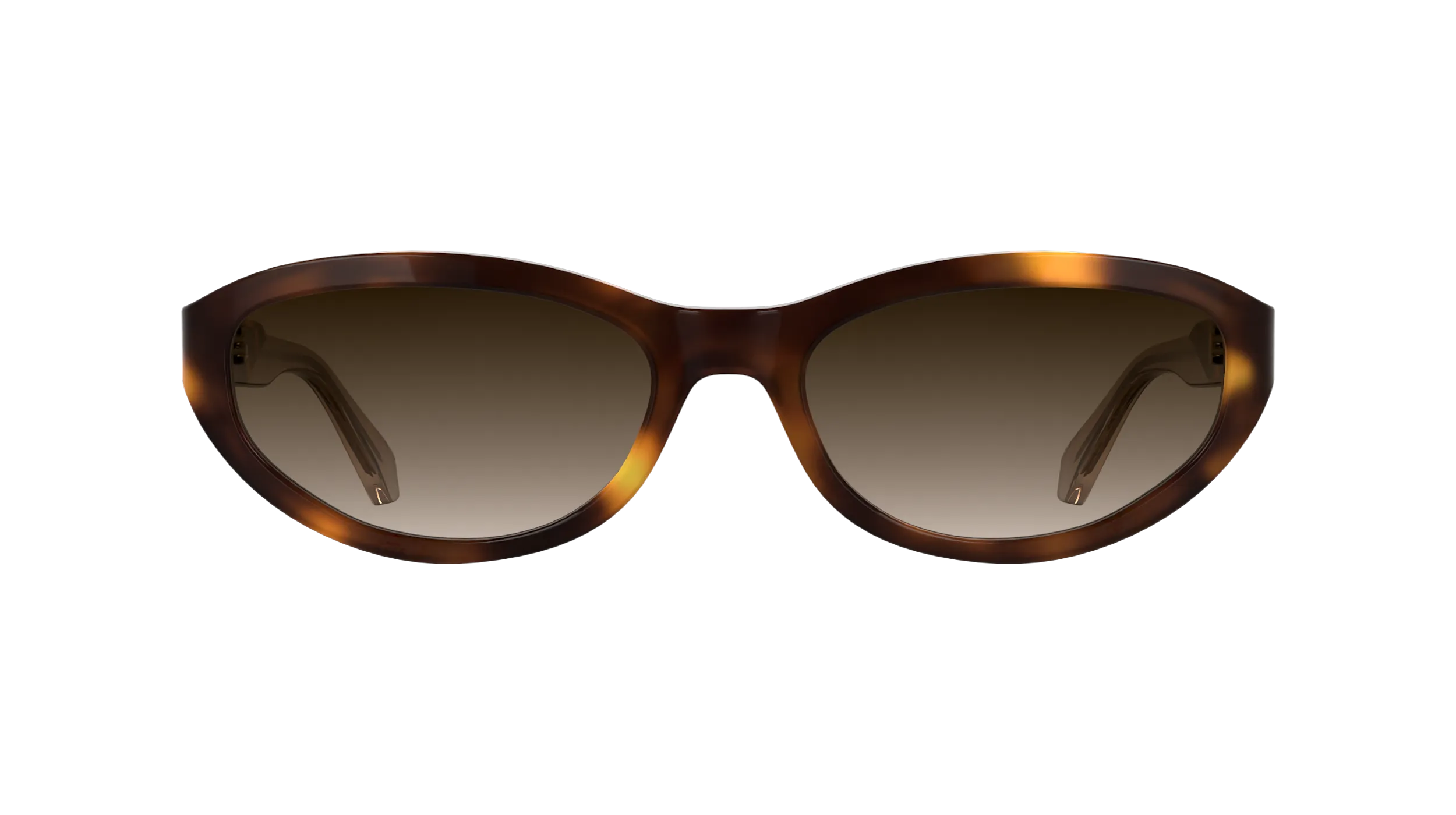 Calvin Klein CKJ25618S 235 Occhiali da sole Acetato Havana Cat Eye Normale Sfumato - immagine 2