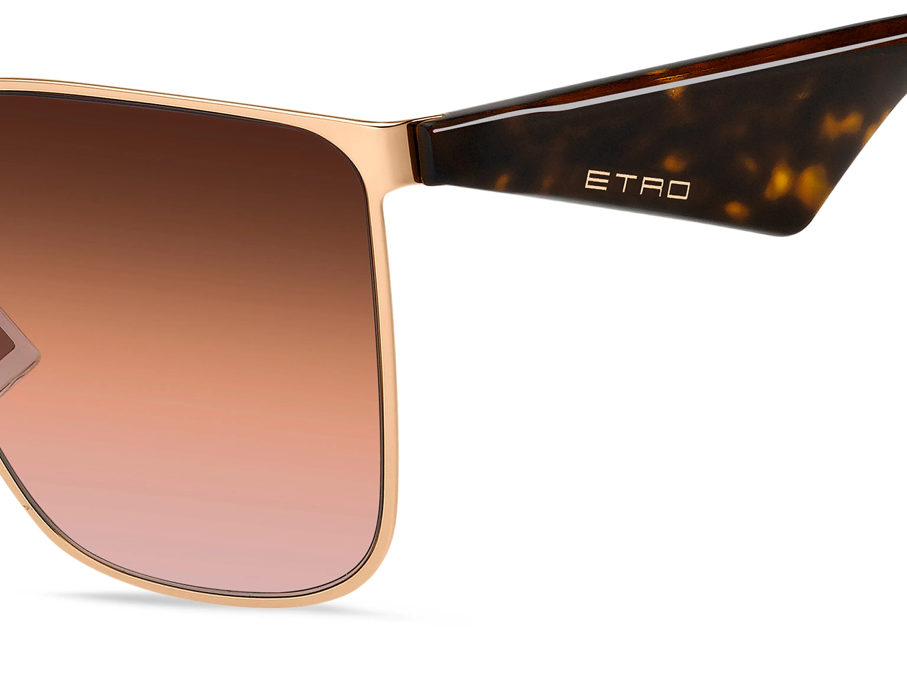 ETRO ETRO ETRO 0110/S DDB/N4 Occhiali da sole Sfumato - immagine 3