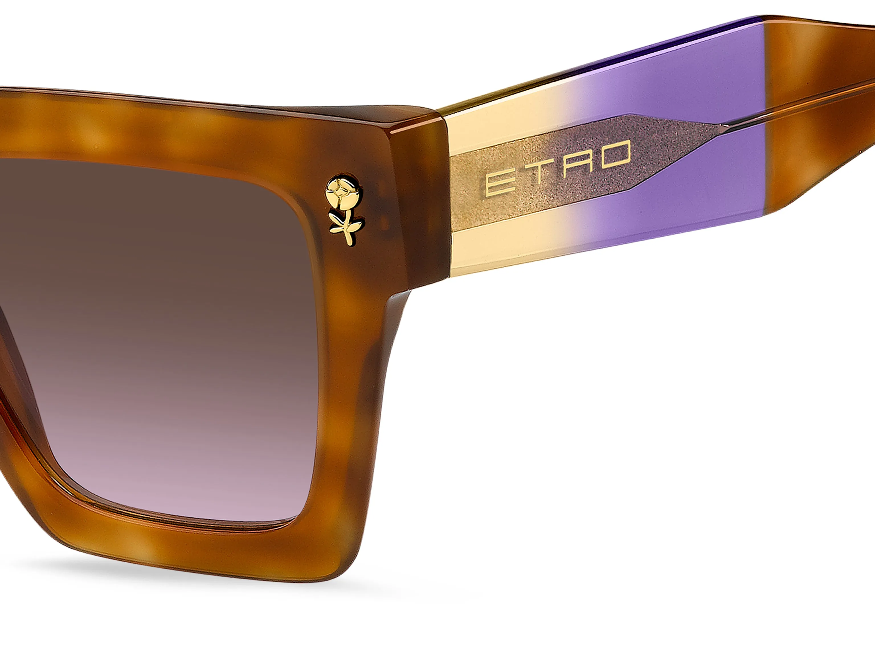 ETRO ETRO ETRO 0113/S AY0/QR Occhiali da sole - immagine 3