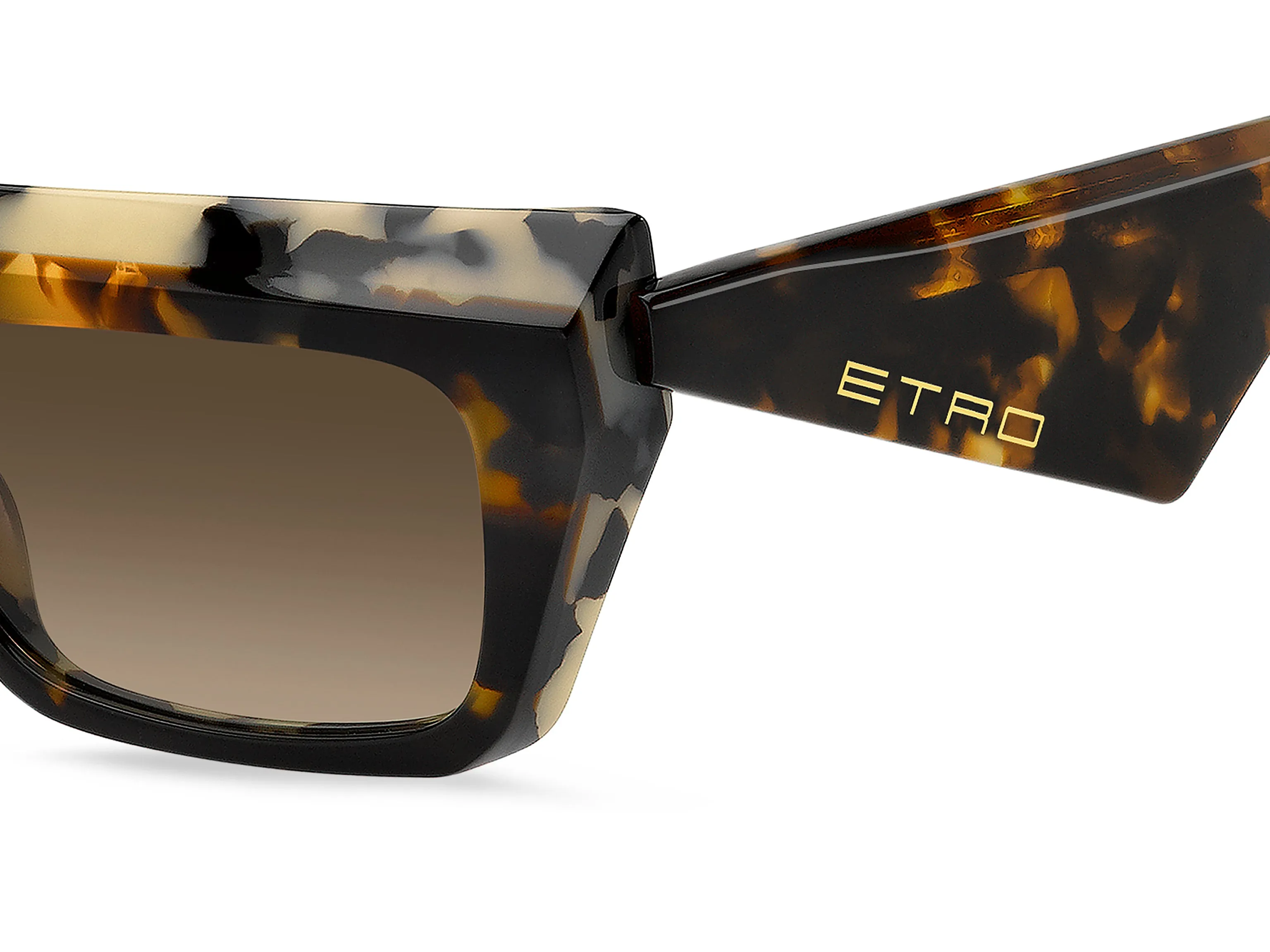 ETRO ETRO ETRO 0118/S 1QI/HA Occhiali da sole - immagine 3