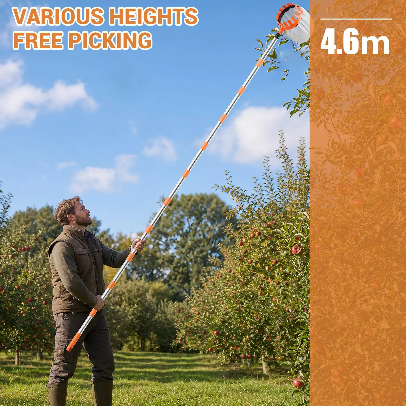 Raccogli frutta da 4,6 m, con manico telescopico e sacchetto da 16 cm di - immagine 6