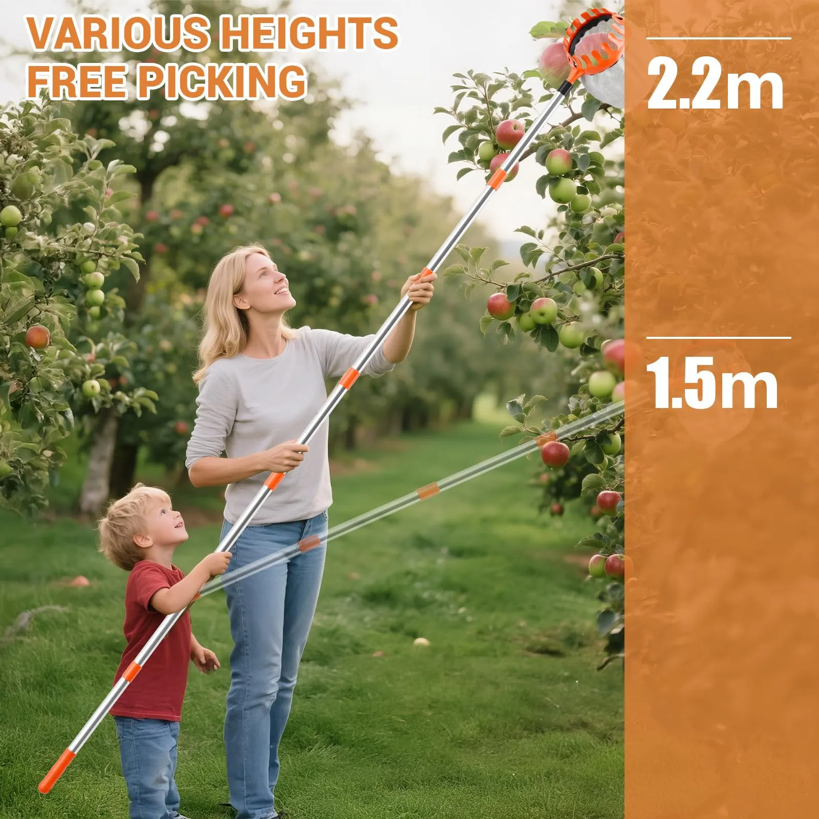 Raccogli frutta da 2,2 m con manico telescopico e sacchetto da 16 cm di - immagine 6