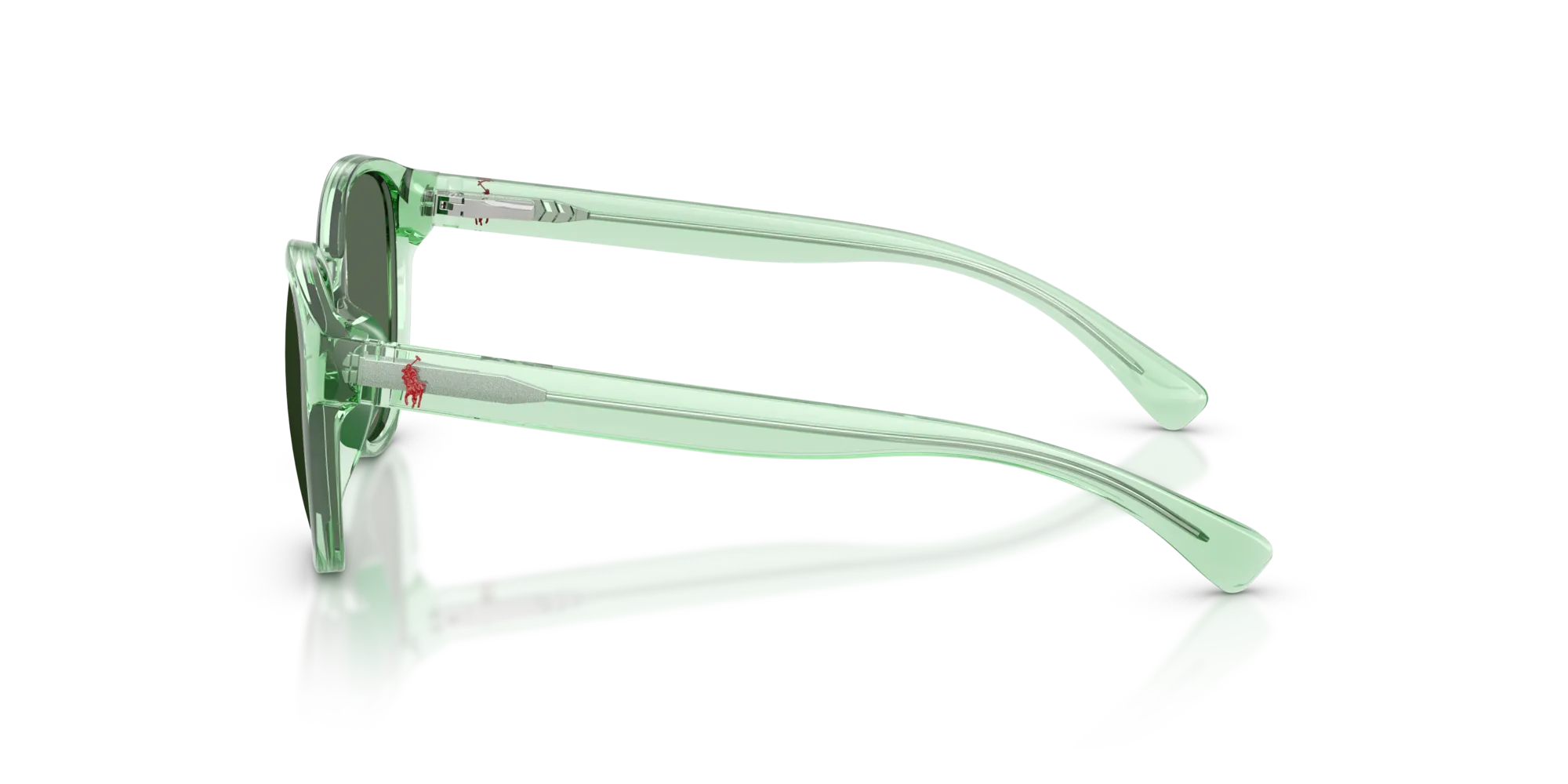 Polo Ralph Lauren PP9509U 625071 Occhiali da sole Iniettato Verde Verde Pantos Normale - immagine 4