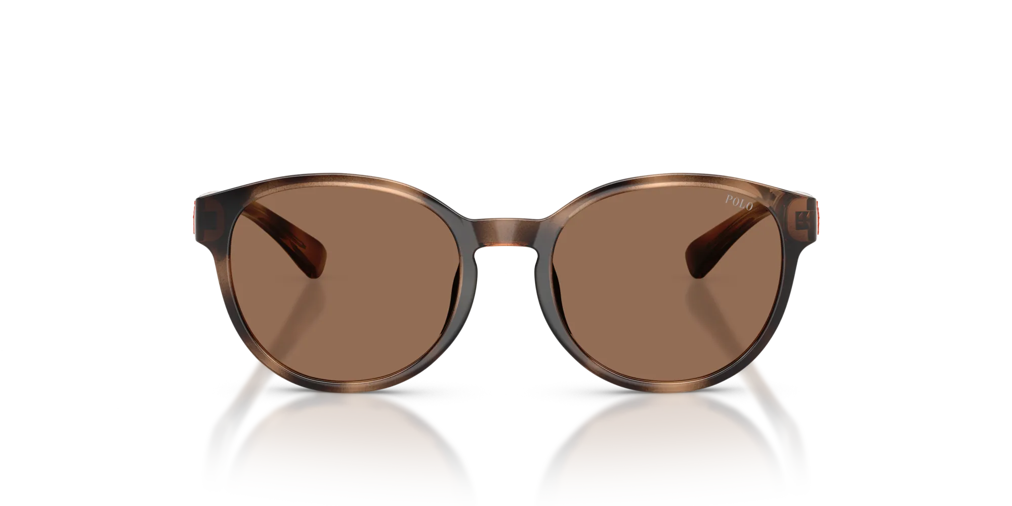 Polo Ralph Lauren PP9509U 597473 Occhiali da sole Iniettato Tartaruga Marrone Pantos Normale - immagine 3
