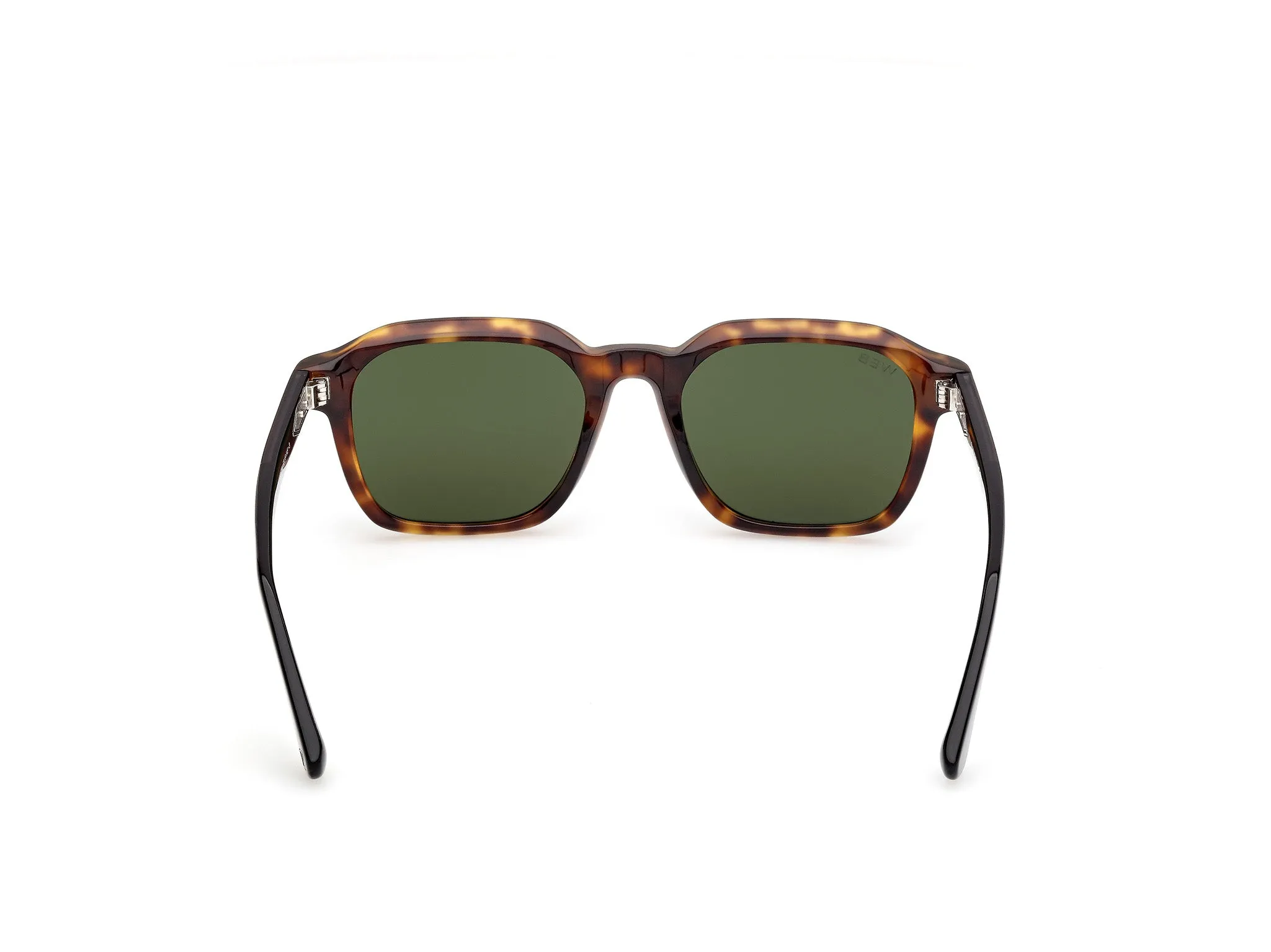 Web WE0385 55N Occhiali da sole Acetato Havana Verde Squadrata Normale - immagine 4