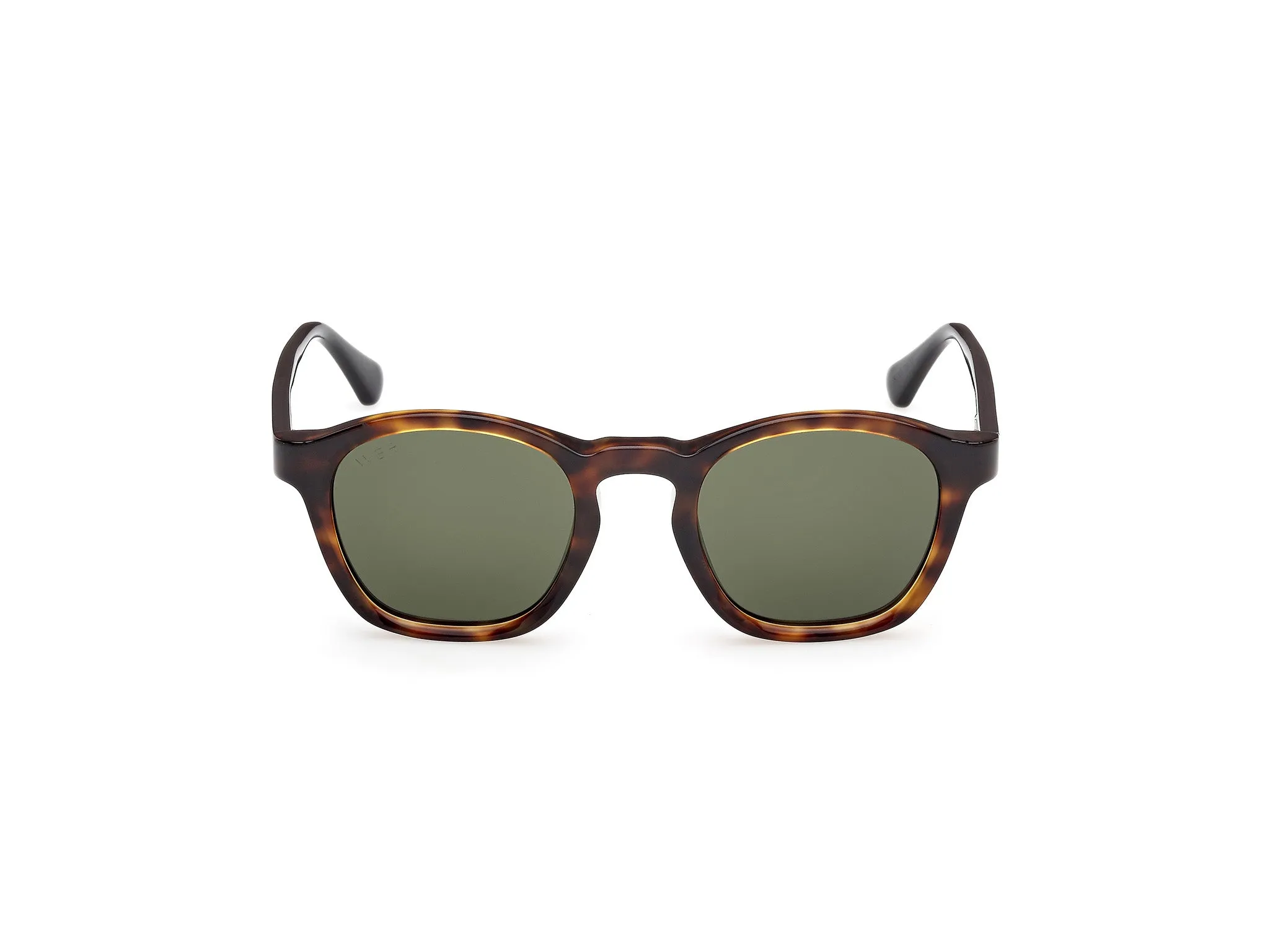 Web WE0384 55N Occhiali da sole Acetato Havana Verde Rotonda Normale - immagine 2