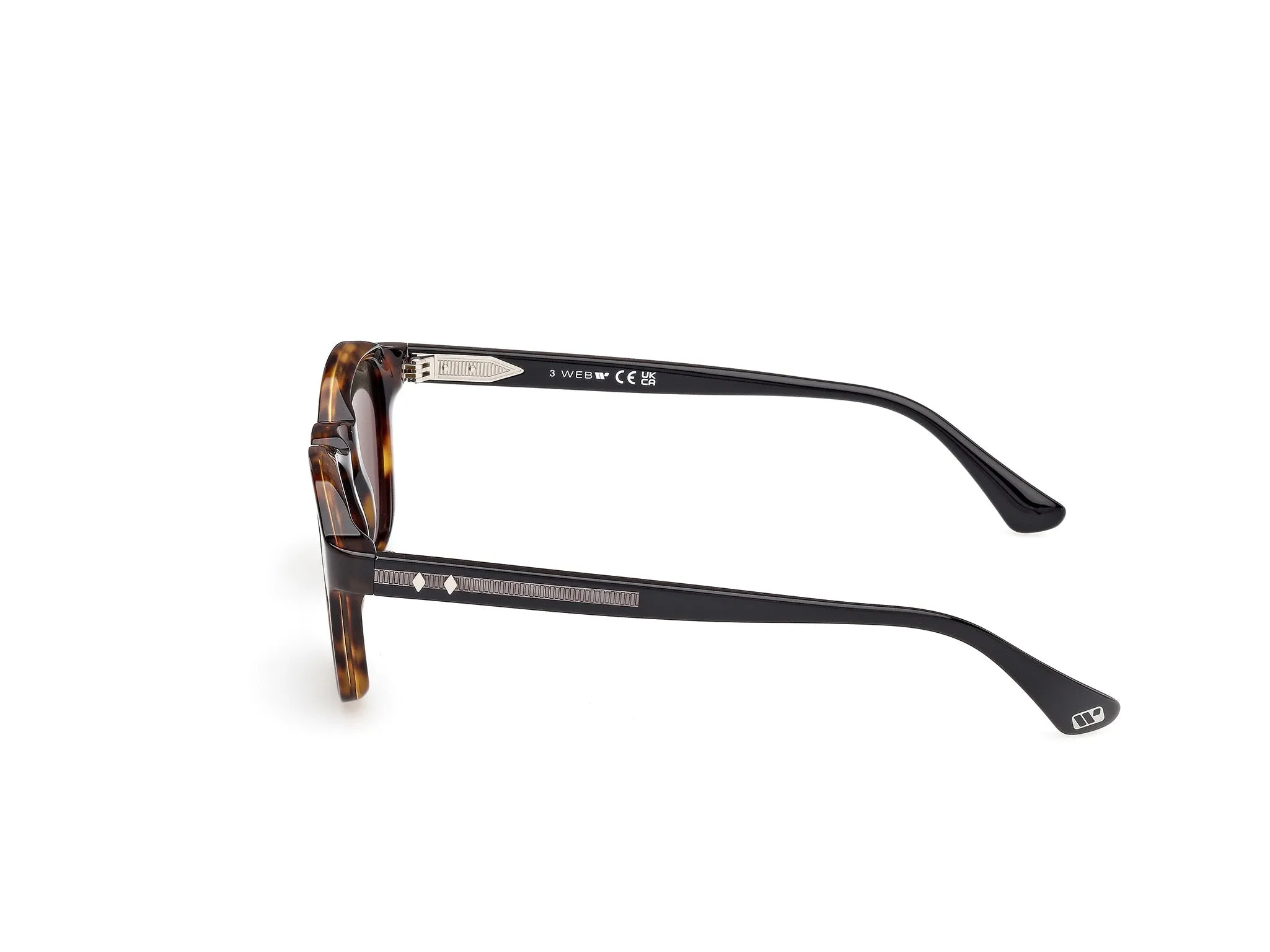 Web WE0384 55N Occhiali da sole Acetato Havana Verde Rotonda Normale - immagine 3