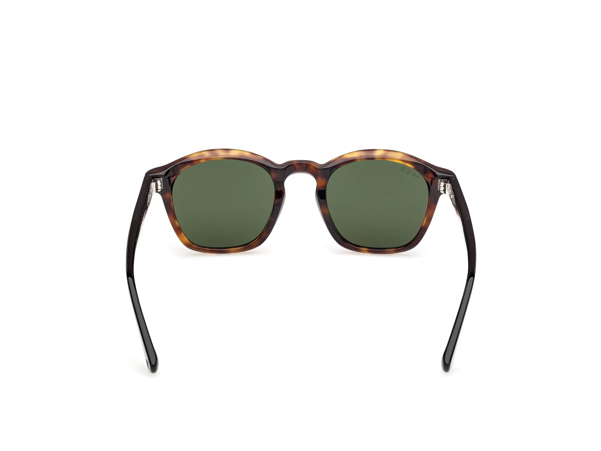 Web WE0384 55N Occhiali da sole Acetato Havana Verde Rotonda Normale - immagine 4