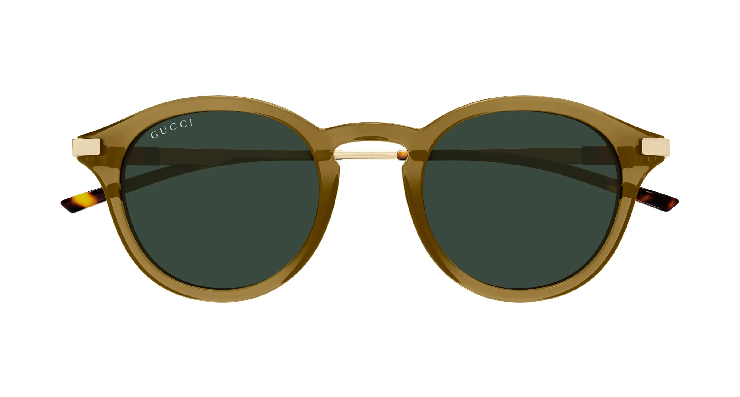 Gucci GG1890S 003 Occhiali da sole Acetato Marrone Verde Rotonda - immagine 2