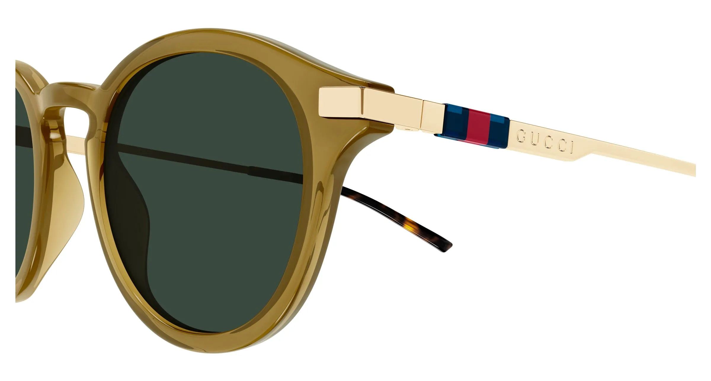 Gucci GG1890S 003 Occhiali da sole Acetato Marrone Verde Rotonda - immagine 3