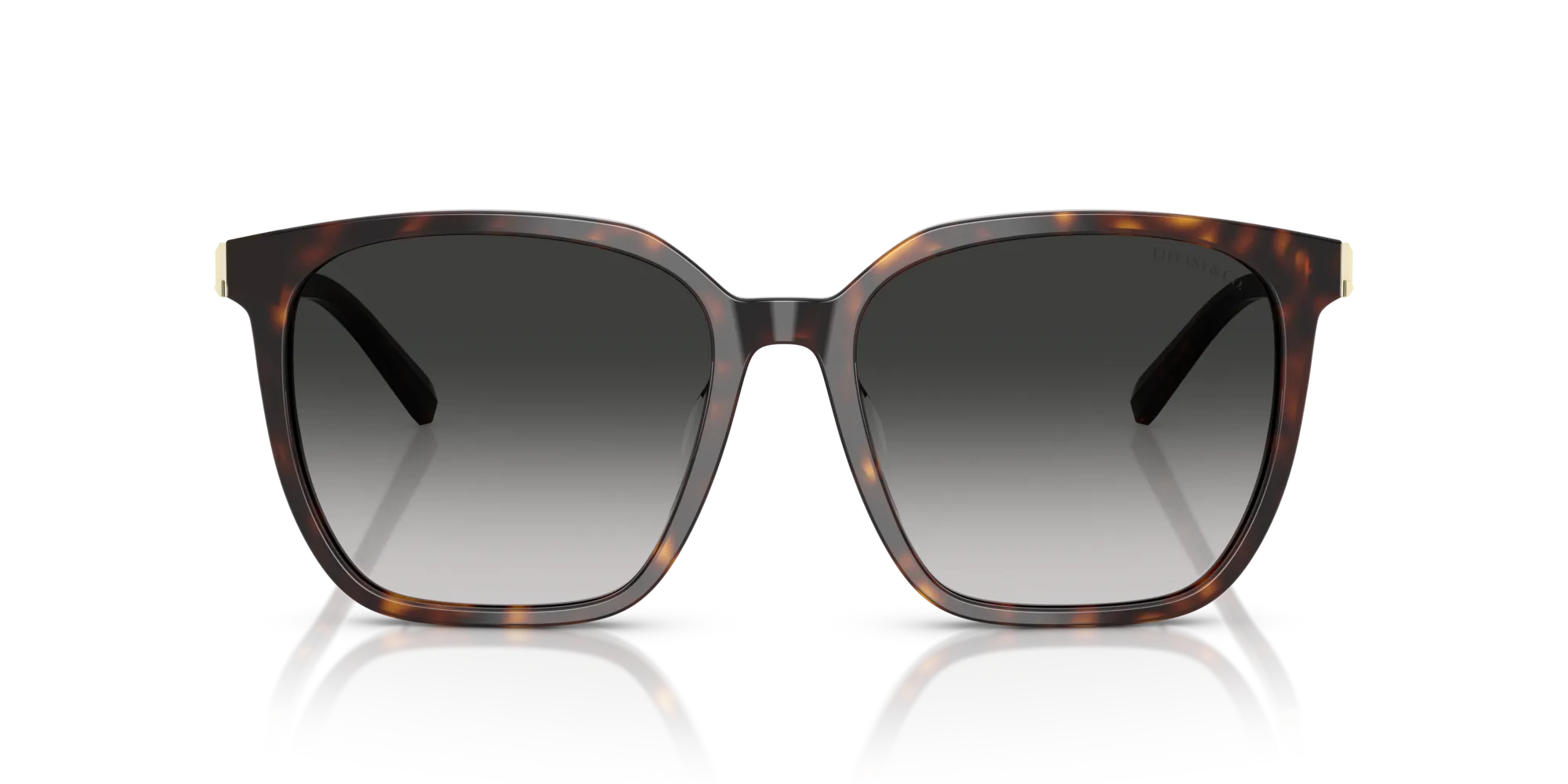 Tiffany TF4244D 80153C Occhiali da sole Acetato Tartaruga Grigio Squadrata Normale Sfumato - immagine 3