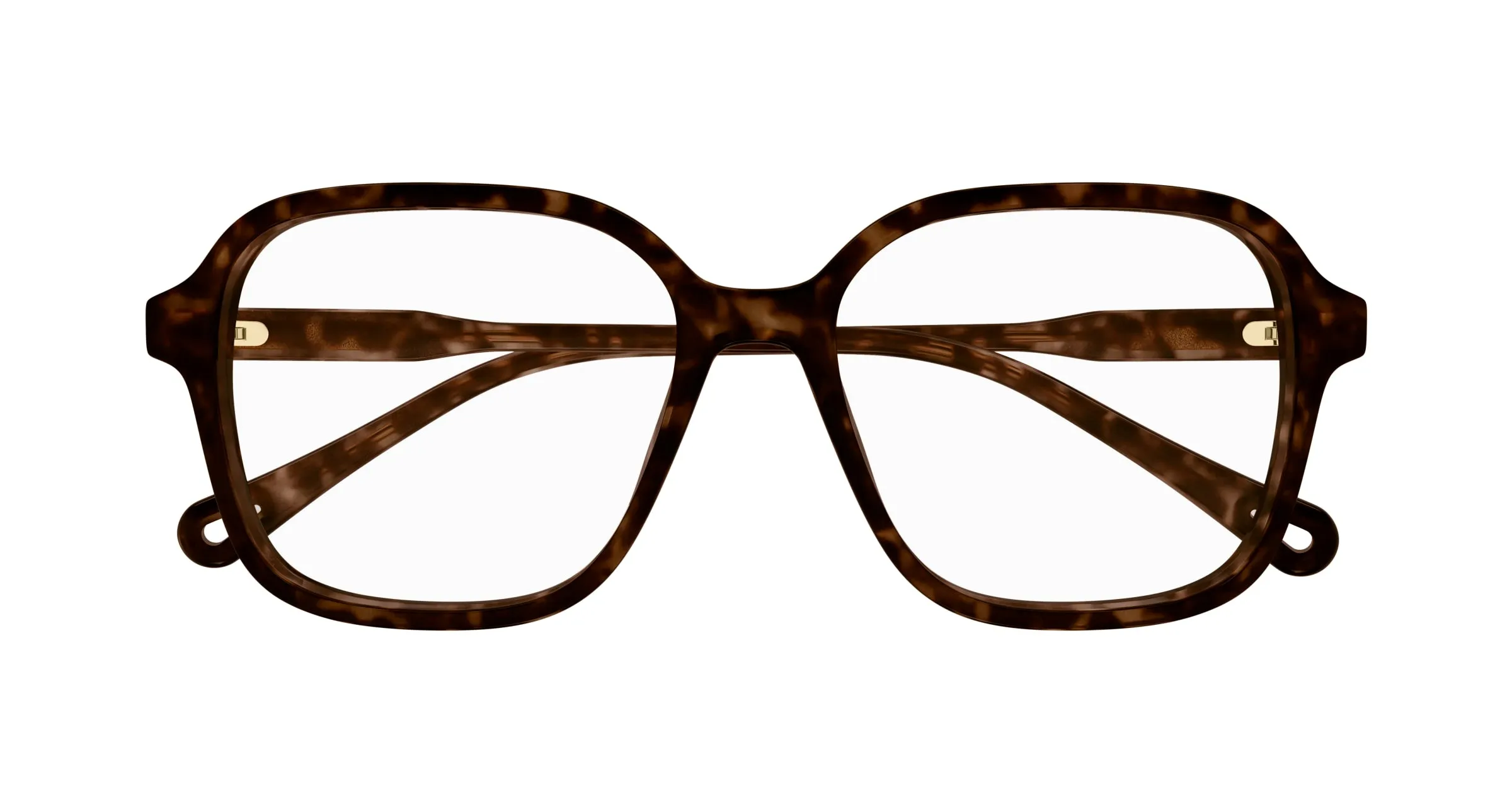 Chloé CH0313O 002 Montature da vista Acetato Havana Trasparente Squadrata - immagine 2