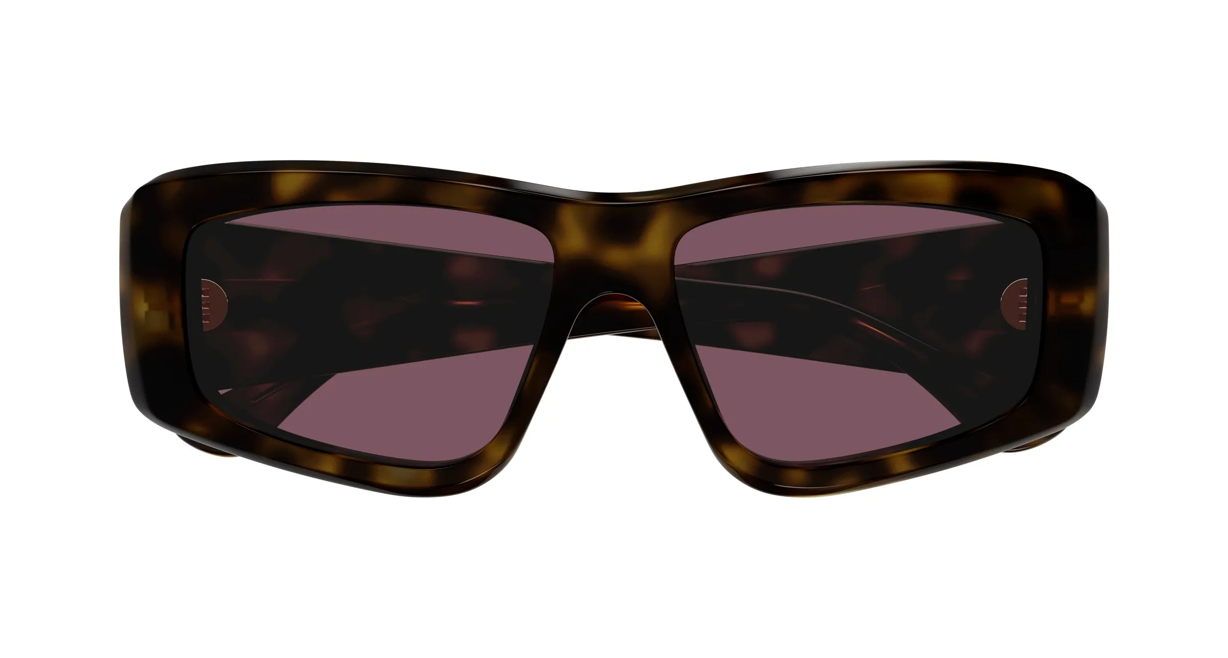 Chloé CH0299S 002 Occhiali da sole Acetato Havana Viola Squadrata - immagine 2