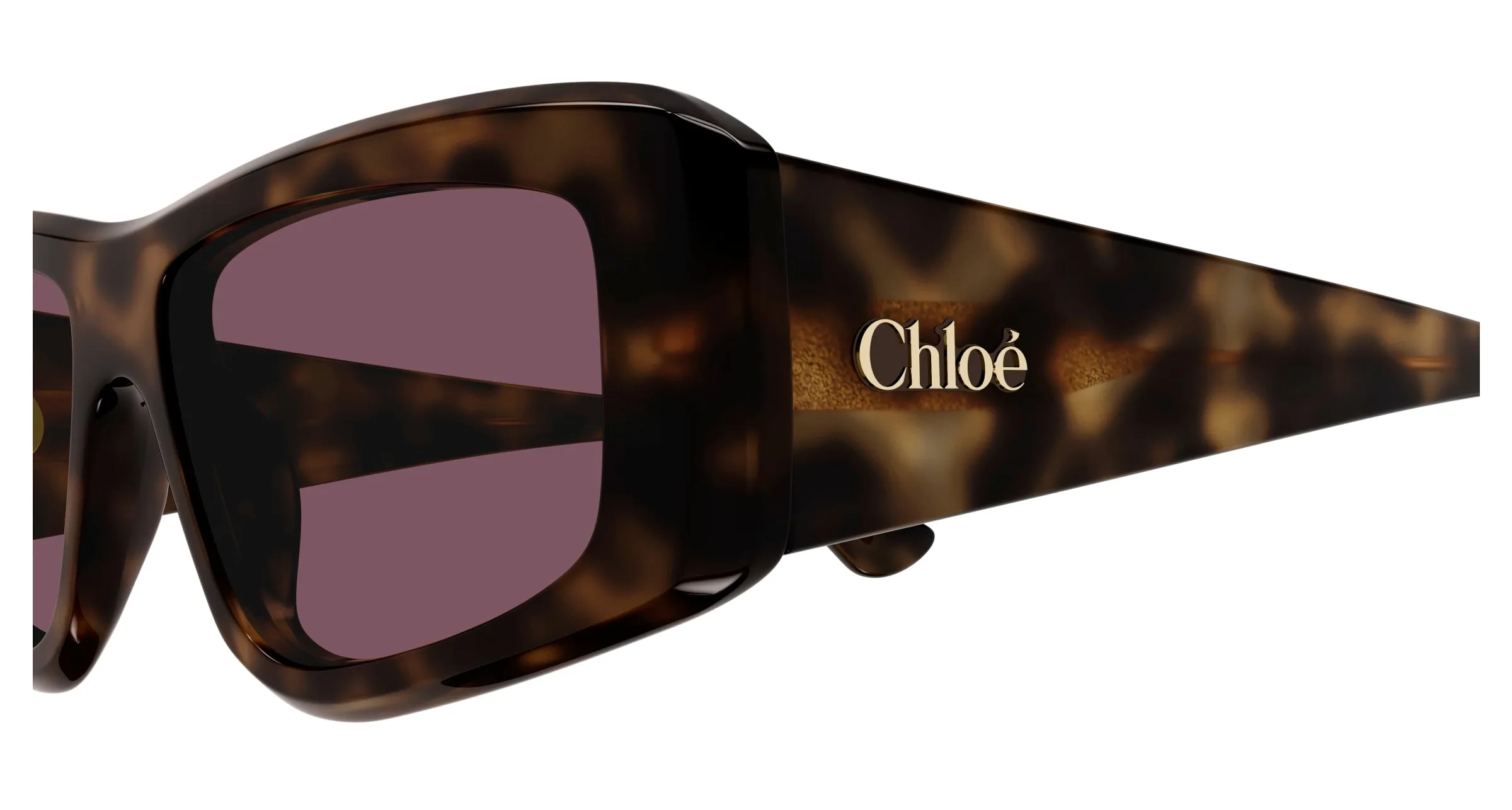 Chloé CH0299S 002 Occhiali da sole Acetato Havana Viola Squadrata - immagine 3