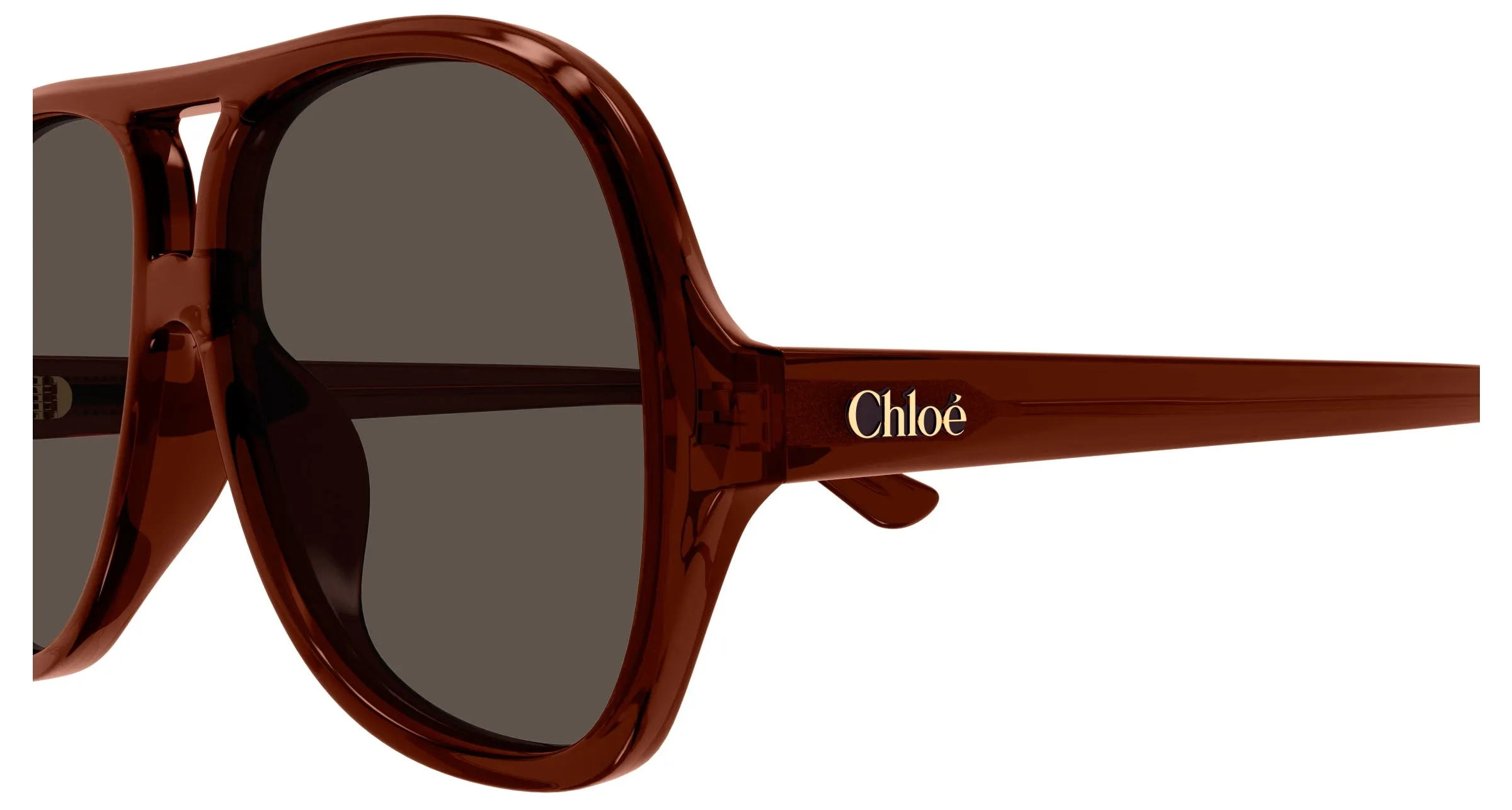 Chloé CH0289S 002 Occhiali da sole Acetato Marrone Marrone Pilot - immagine 3