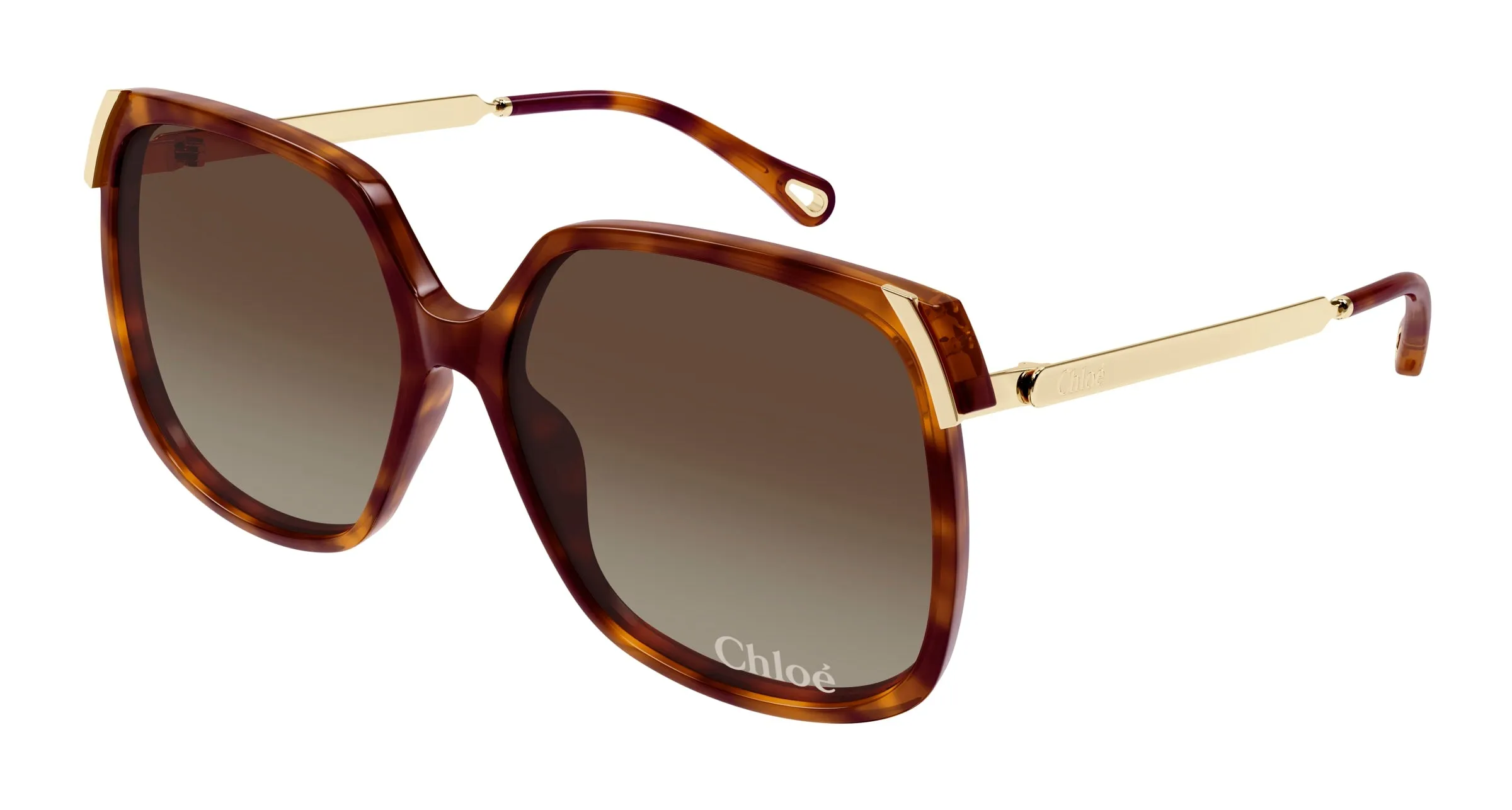 Chloé CH0286S 002 Occhiali da sole Acetato Havana Marrone Squadrata - immagine 1