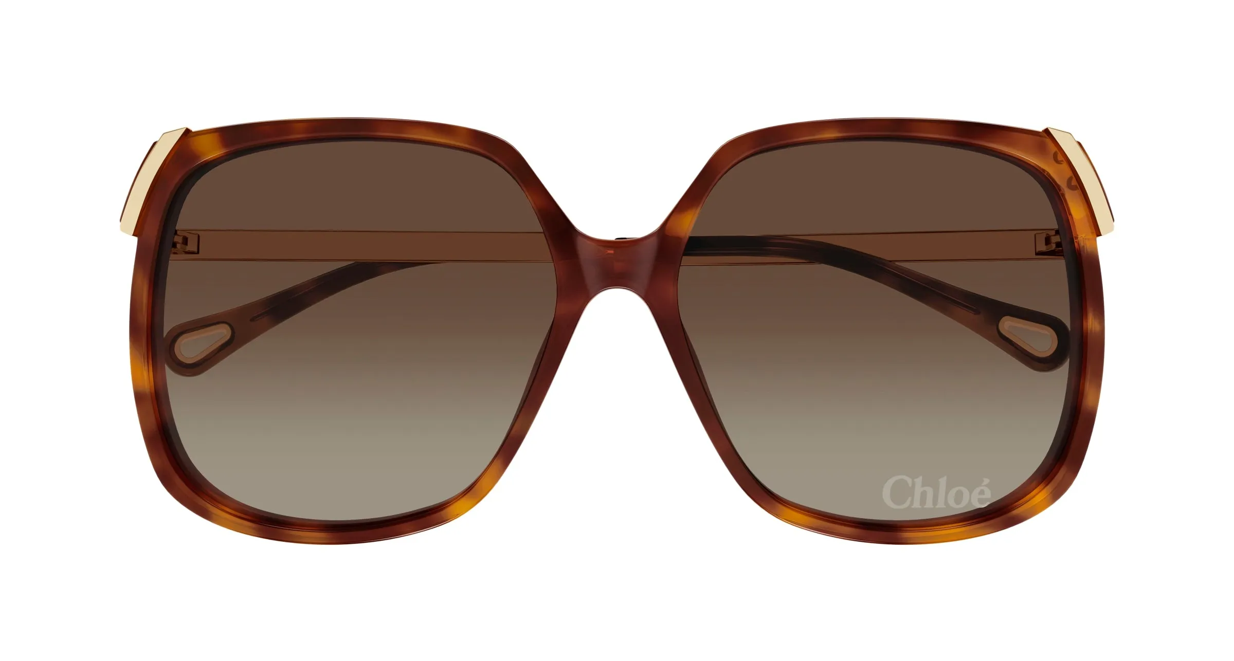 Chloé CH0286S 002 Occhiali da sole Acetato Havana Marrone Squadrata - immagine 2