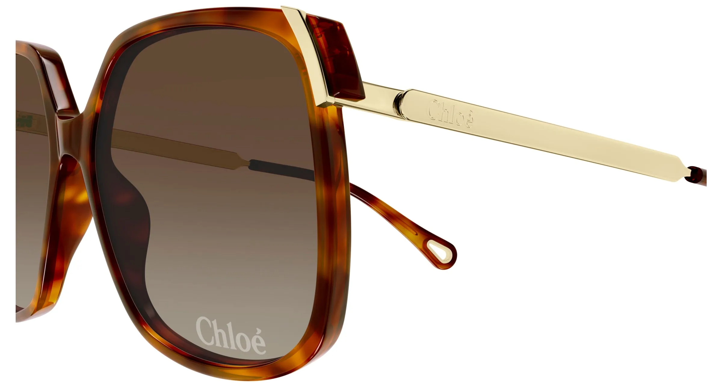 Chloé CH0286S 002 Occhiali da sole Acetato Havana Marrone Squadrata - immagine 3