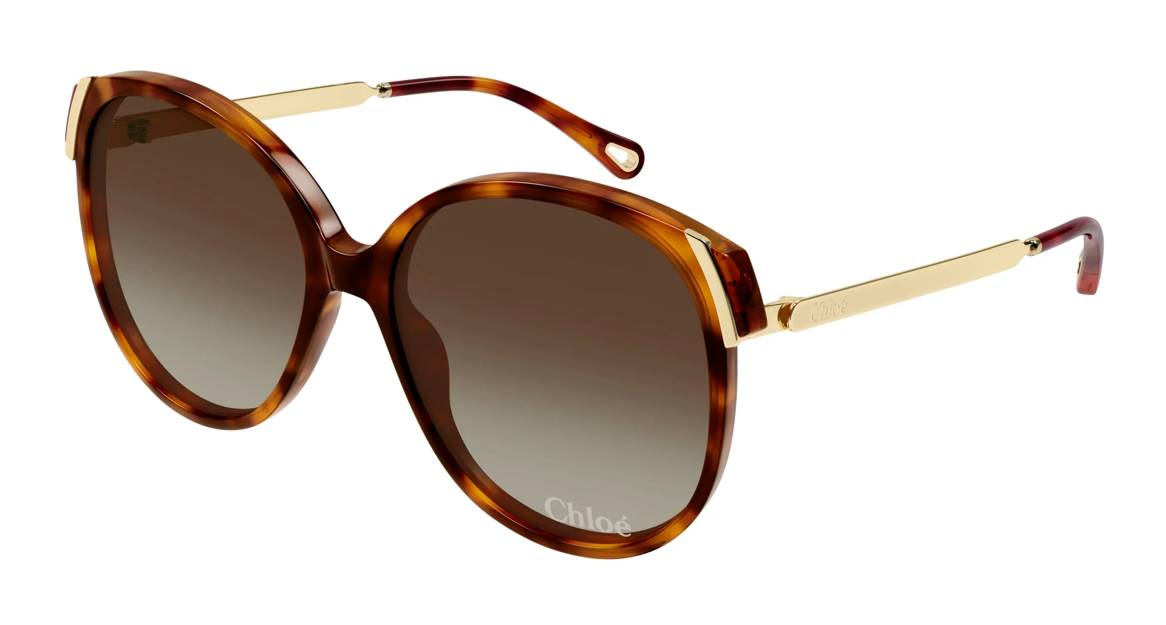 Chloé CH0285S 002 Occhiali da sole Acetato Havana Marrone Squadrata - immagine 1