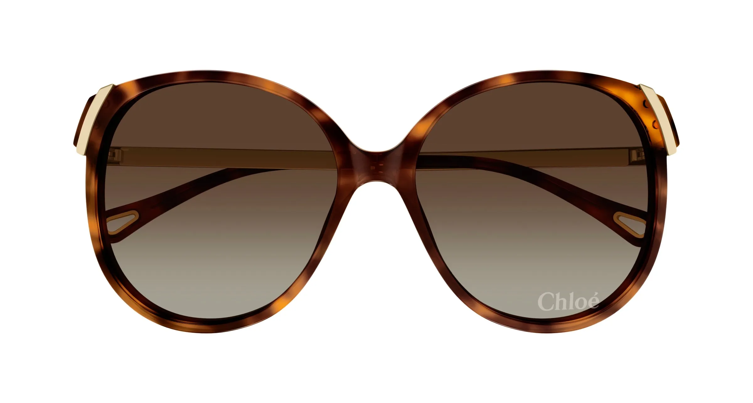 Chloé CH0285S 002 Occhiali da sole Acetato Havana Marrone Squadrata - immagine 2