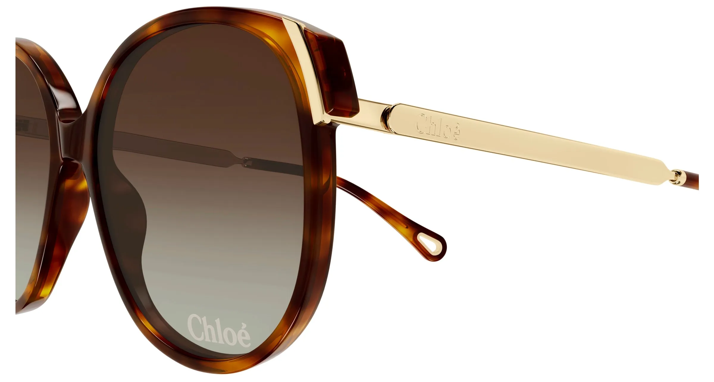 Chloé CH0285S 002 Occhiali da sole Acetato Havana Marrone Squadrata - immagine 3