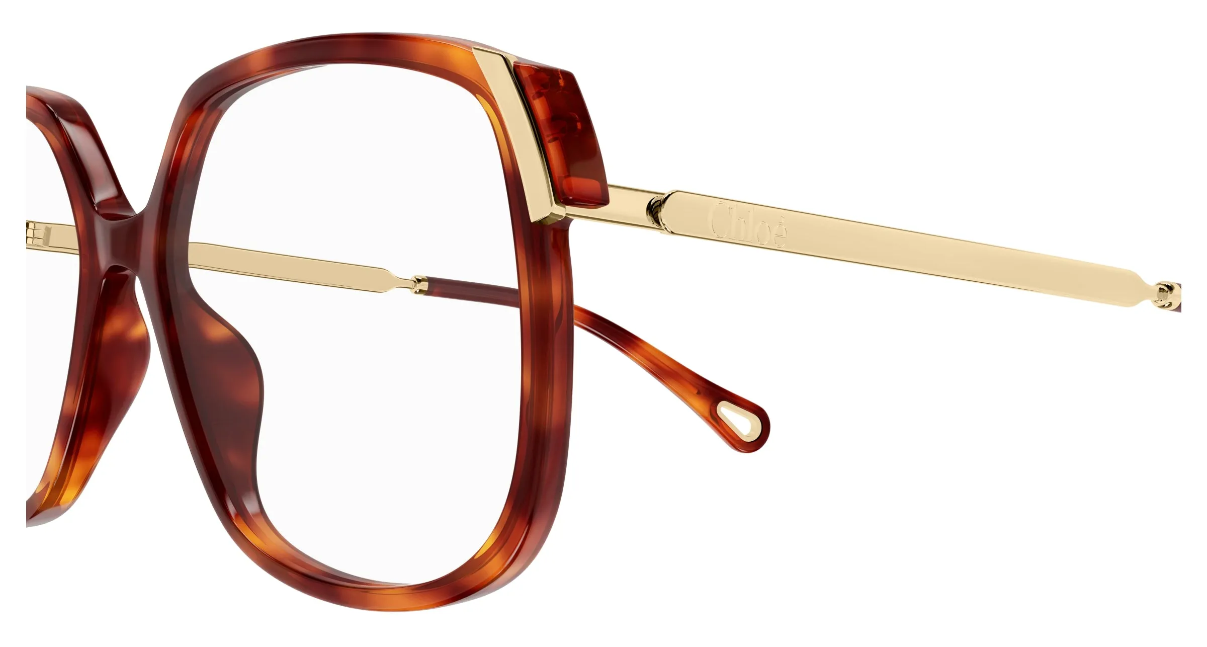 Chloé CH0287O 002 Montature da vista Acetato Havana Trasparente Squadrata - immagine 3