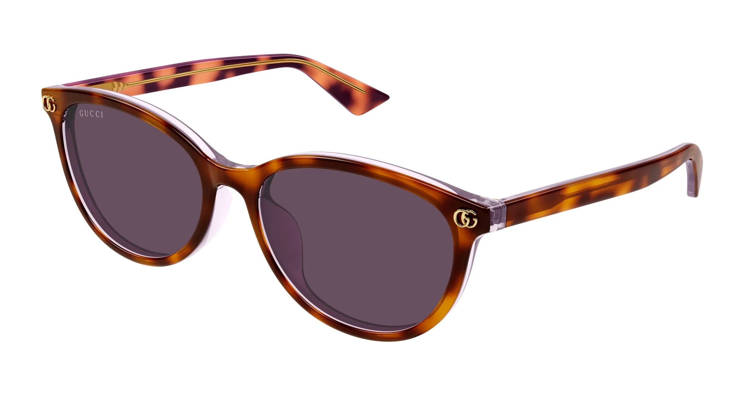 Gucci GG1818SK 004 Occhiali da sole Acetato Havana Viola Rotonda - immagine 1
