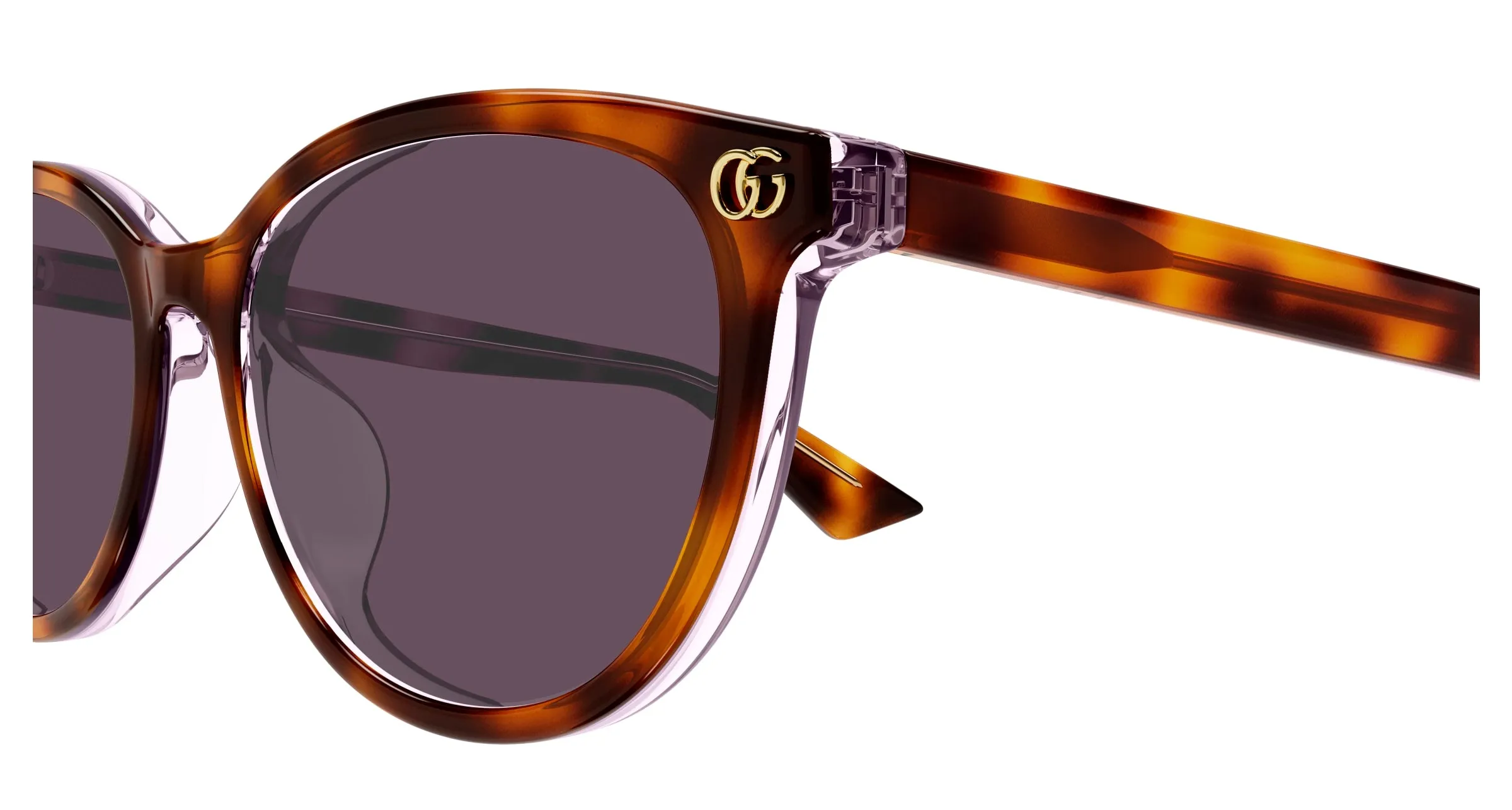 Gucci GG1818SK 004 Occhiali da sole Acetato Havana Viola Rotonda - immagine 3