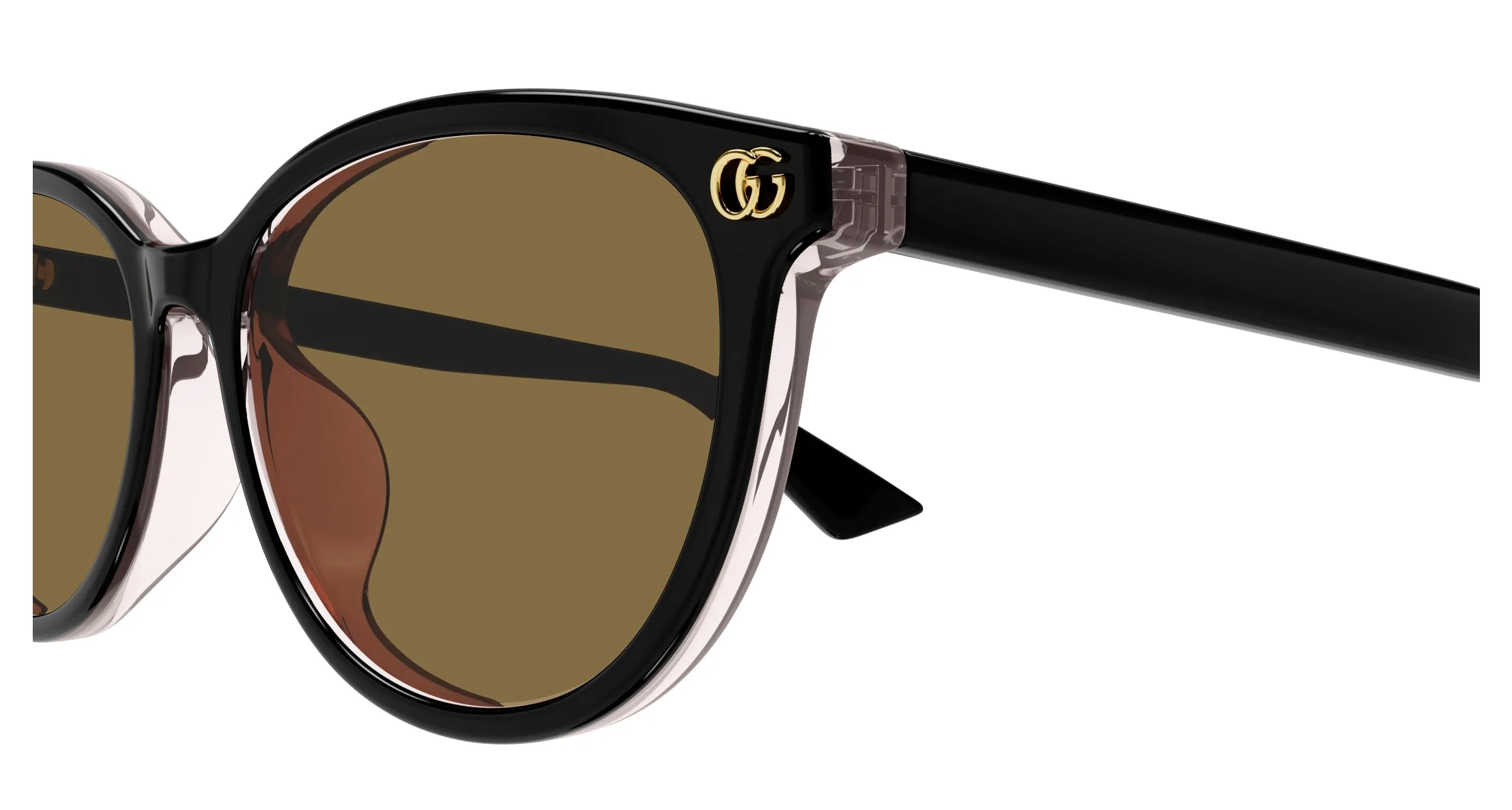 Gucci GG1818SK 003 Occhiali da sole Acetato Nero Marrone Rotonda - immagine 3