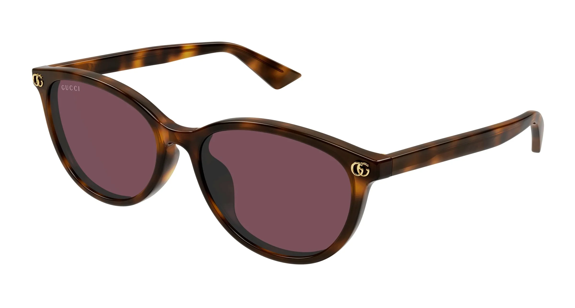 Gucci GG1818SK 002 Occhiali da sole Acetato Havana Viola Rotonda - immagine 1