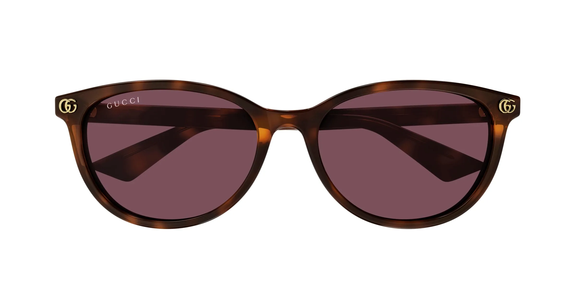 Gucci GG1818SK 002 Occhiali da sole Acetato Havana Viola Rotonda - immagine 2