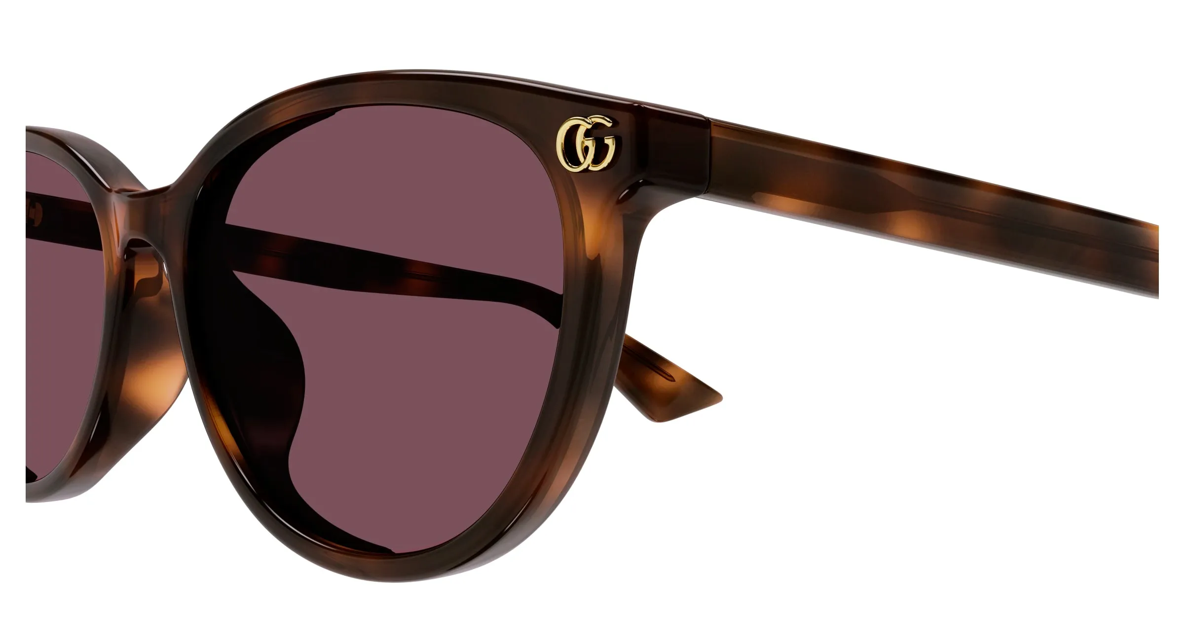 Gucci GG1818SK 002 Occhiali da sole Acetato Havana Viola Rotonda - immagine 3