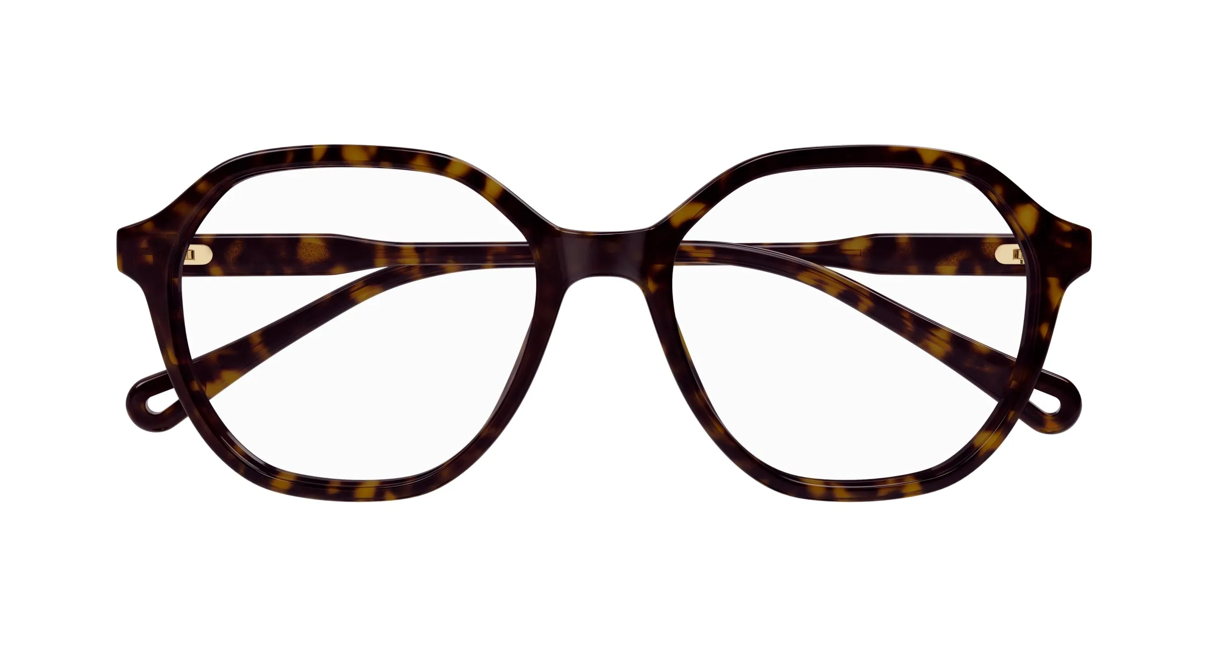 Chloé CH0312O 002 Montature da vista Acetato Havana Trasparente Squadrata - immagine 2