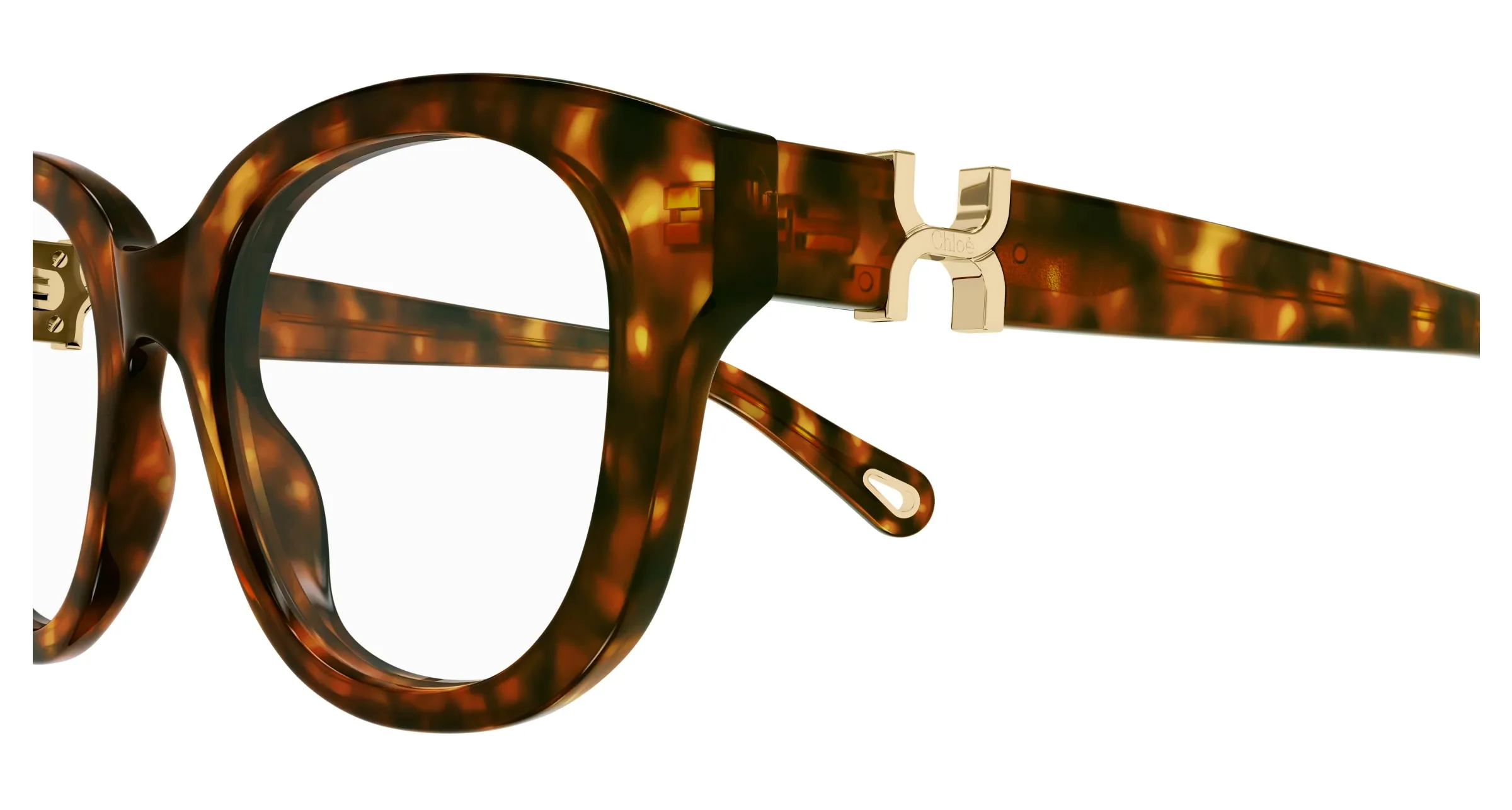 Chloé CH0304O 002 Montature da vista Acetato Havana Trasparente Rotonda - immagine 3