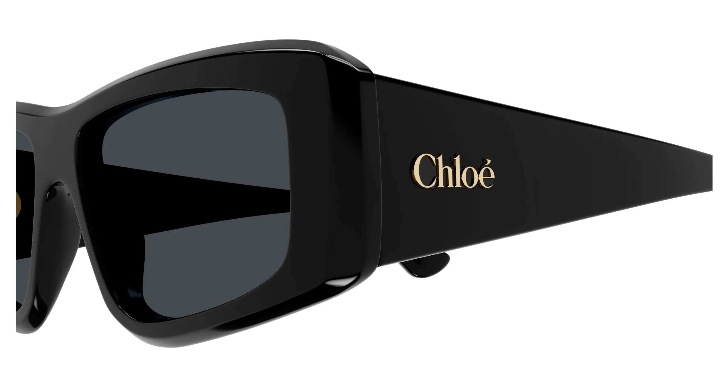 Chloé CH0299S 001 Occhiali da sole Acetato Nero Blu Squadrata - immagine 3