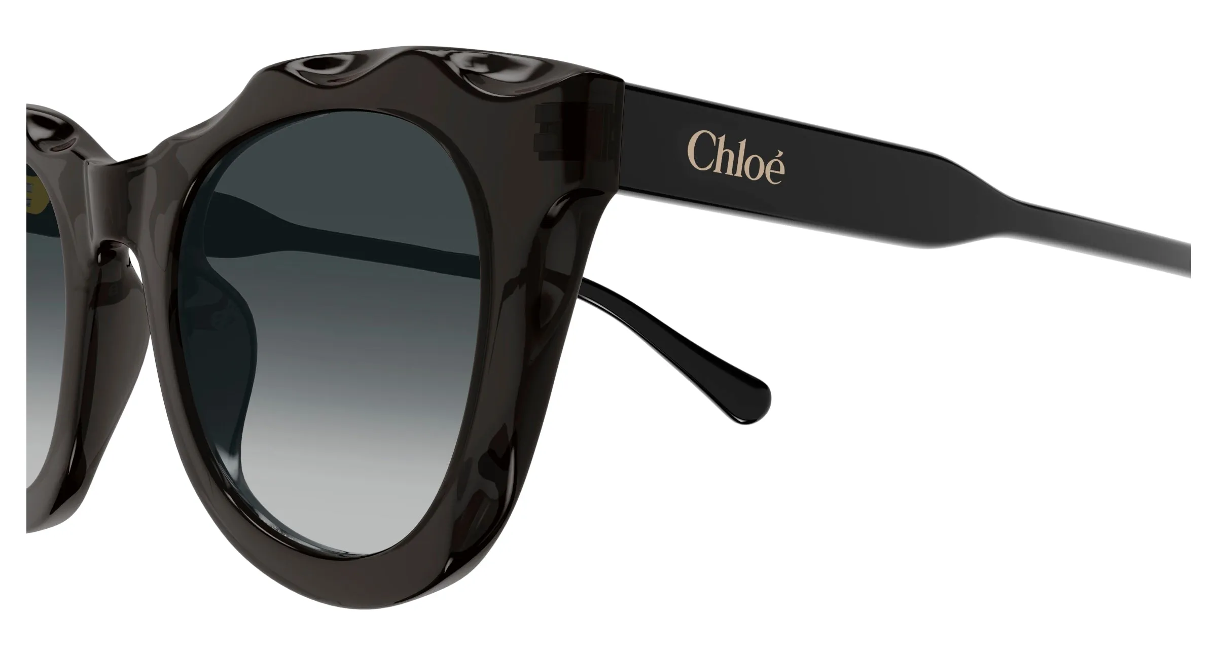 Chloé CH0295S 001 Occhiali da sole Acetato Grigio Grigio Rotonda - immagine 3