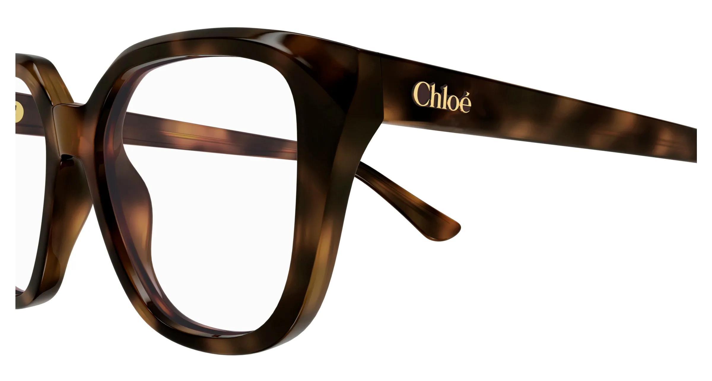 Chloé CH0293O 002 Montature da vista Acetato Havana Trasparente Squadrata - immagine 3