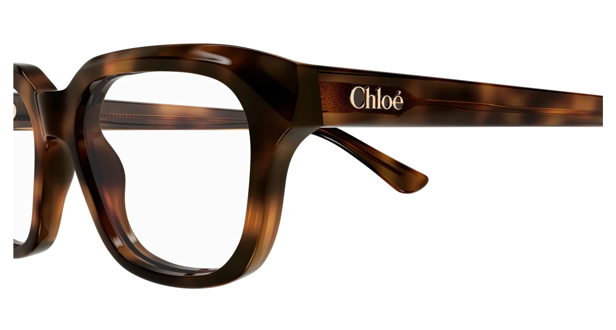 Chloé CH0292O 007 Montature da vista Acetato Havana Trasparente Squadrata - immagine 3