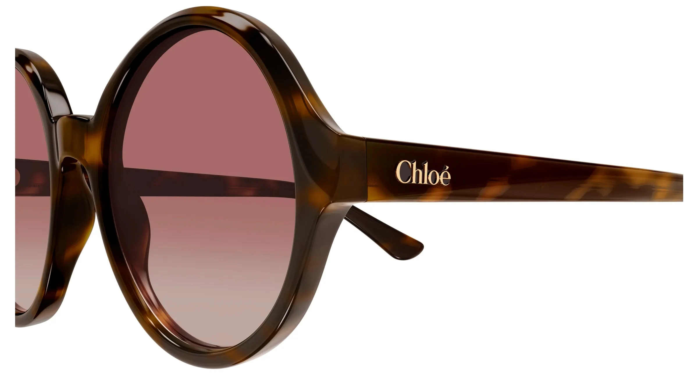Chloé CH0290S 003 Occhiali da sole Acetato Havana Rosso Rotonda - immagine 3
