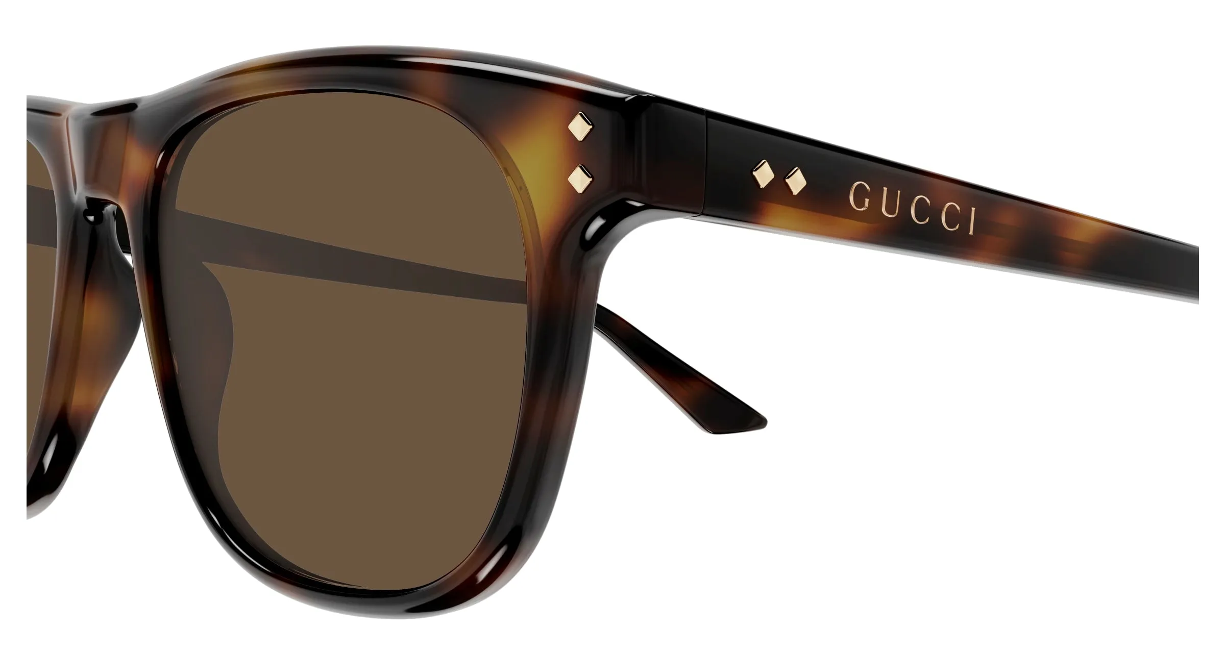 Gucci GG1893S 002 Occhiali da sole Acetato Havana Marrone Squadrata - immagine 3