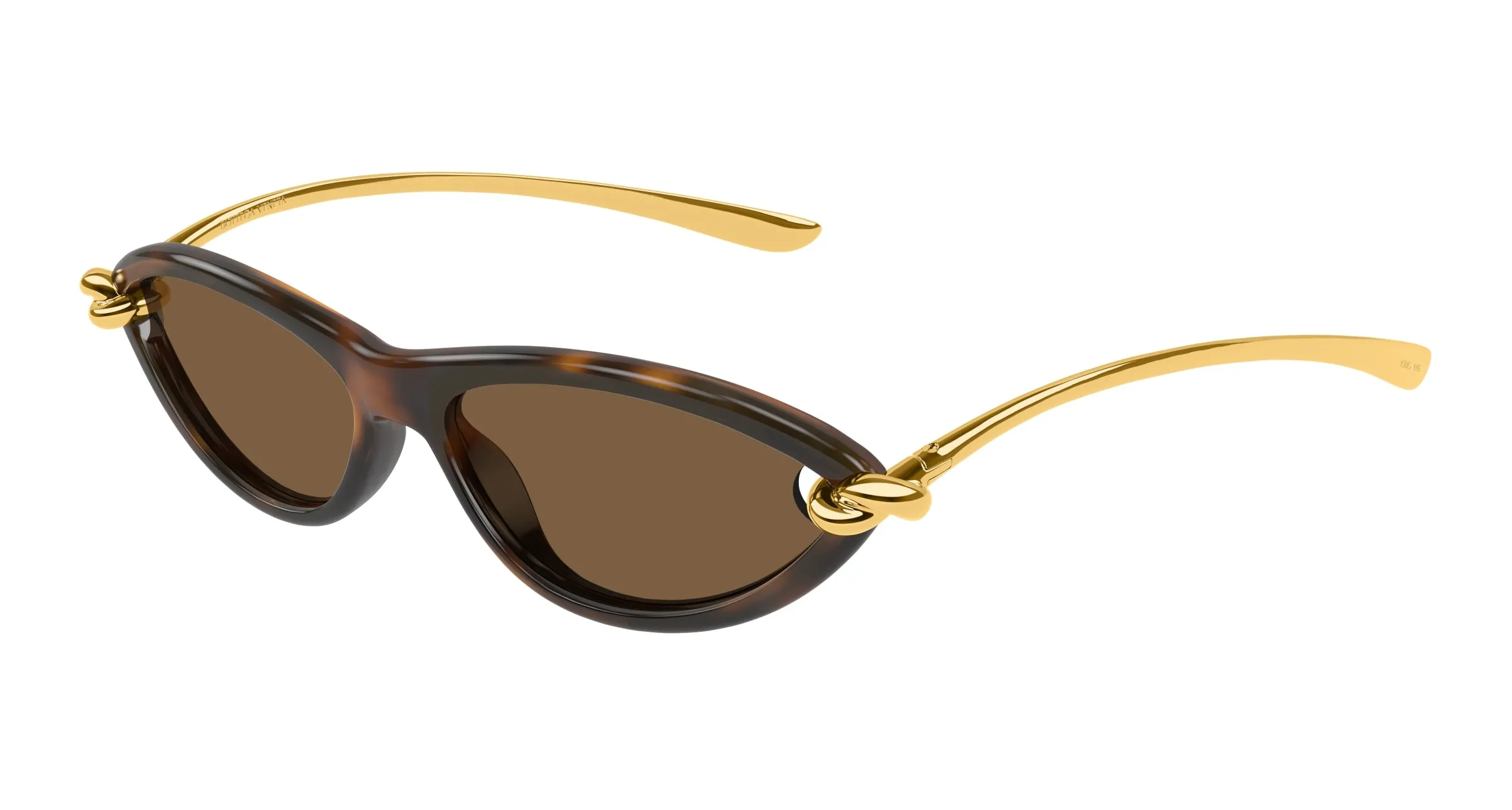 Bottega Veneta BV1390S 002 Occhiali da sole Iniettato Havana Marrone Cat Eye - immagine 1
