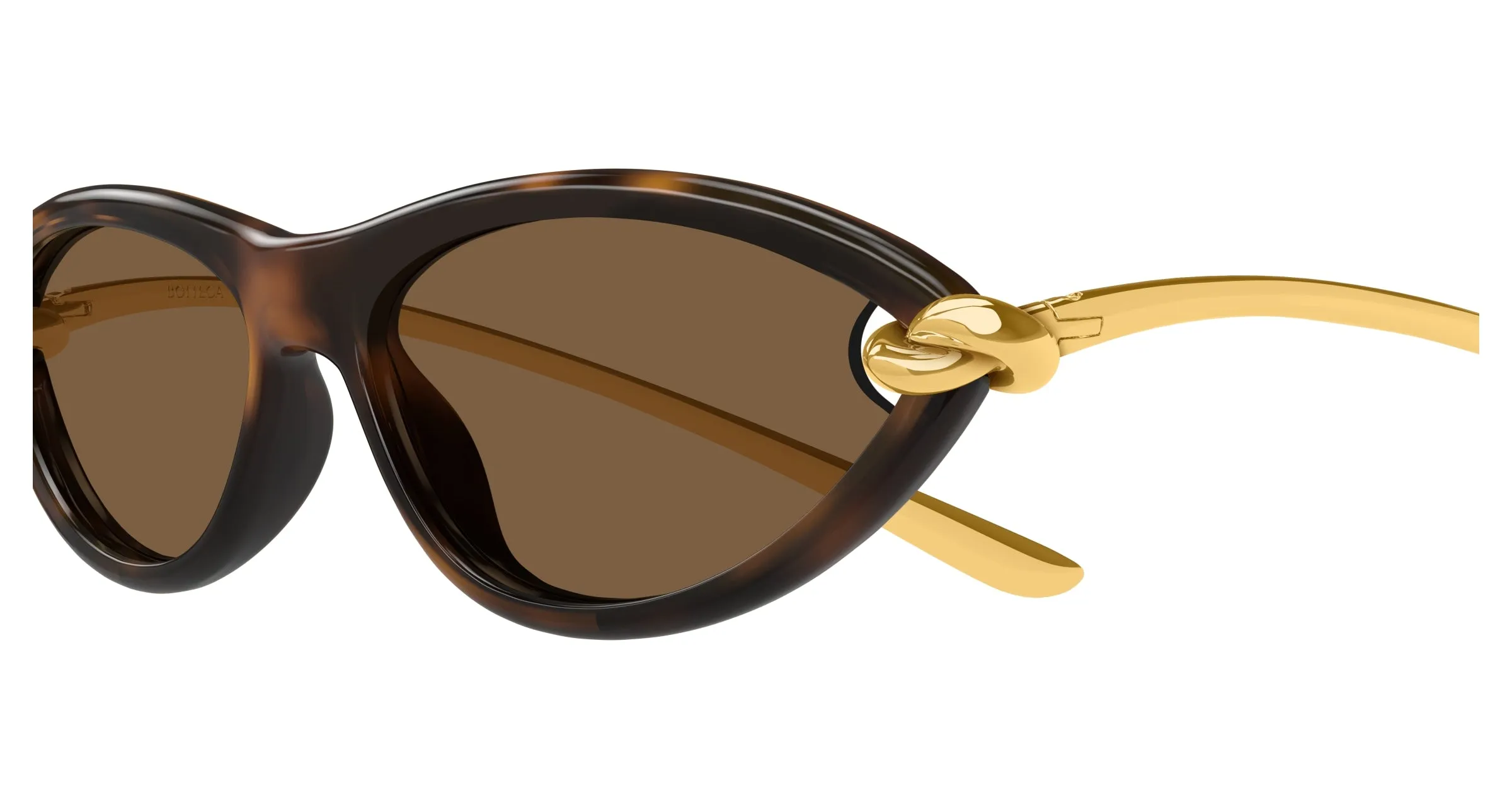 Bottega Veneta BV1390S 002 Occhiali da sole Iniettato Havana Marrone Cat Eye - immagine 3